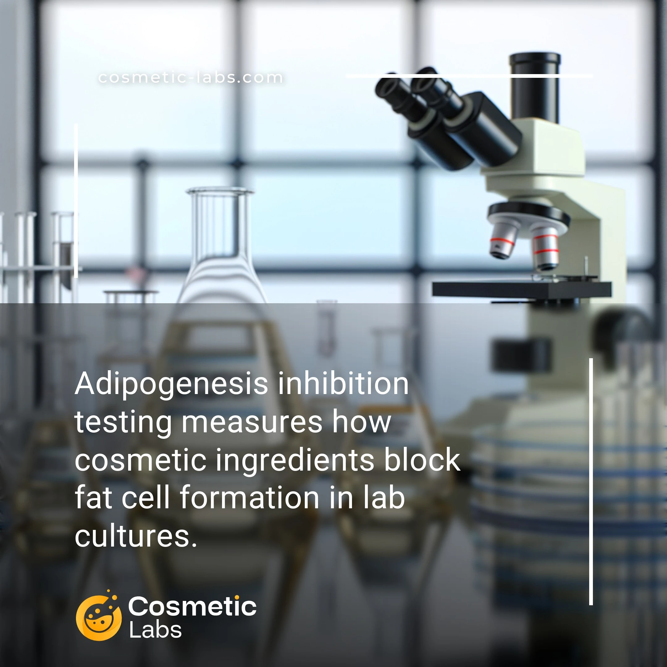 Illustration of Adipogenesis inhibition services. Adipogenesis inhibition testing measures how cosmetic ingredients block fat cell formation in lab cultures.