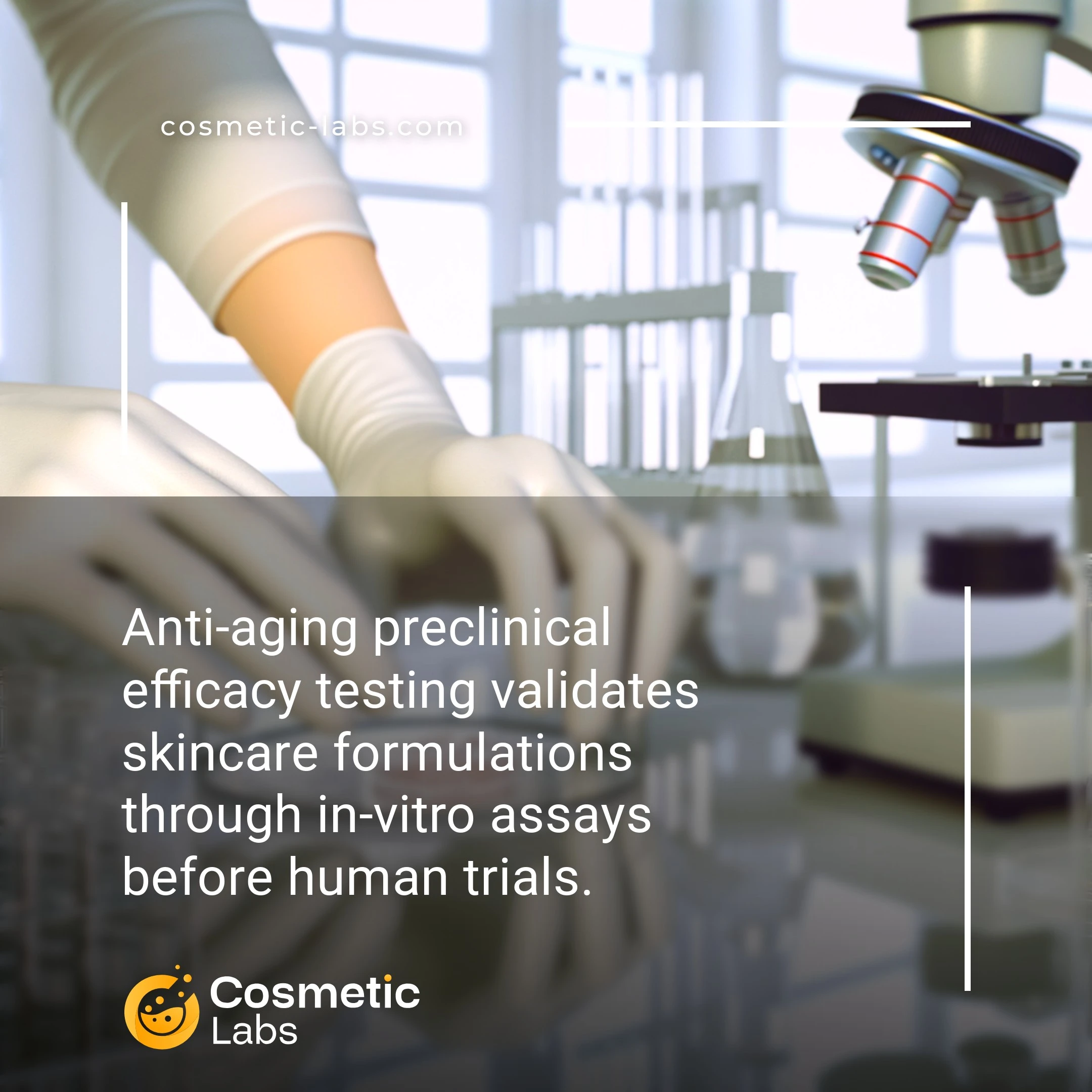 Illustration of Anti-aging efficacy testing services. Anti-aging preclinical efficacy testing validates skincare formulations through in-vitro assays before human trials.
