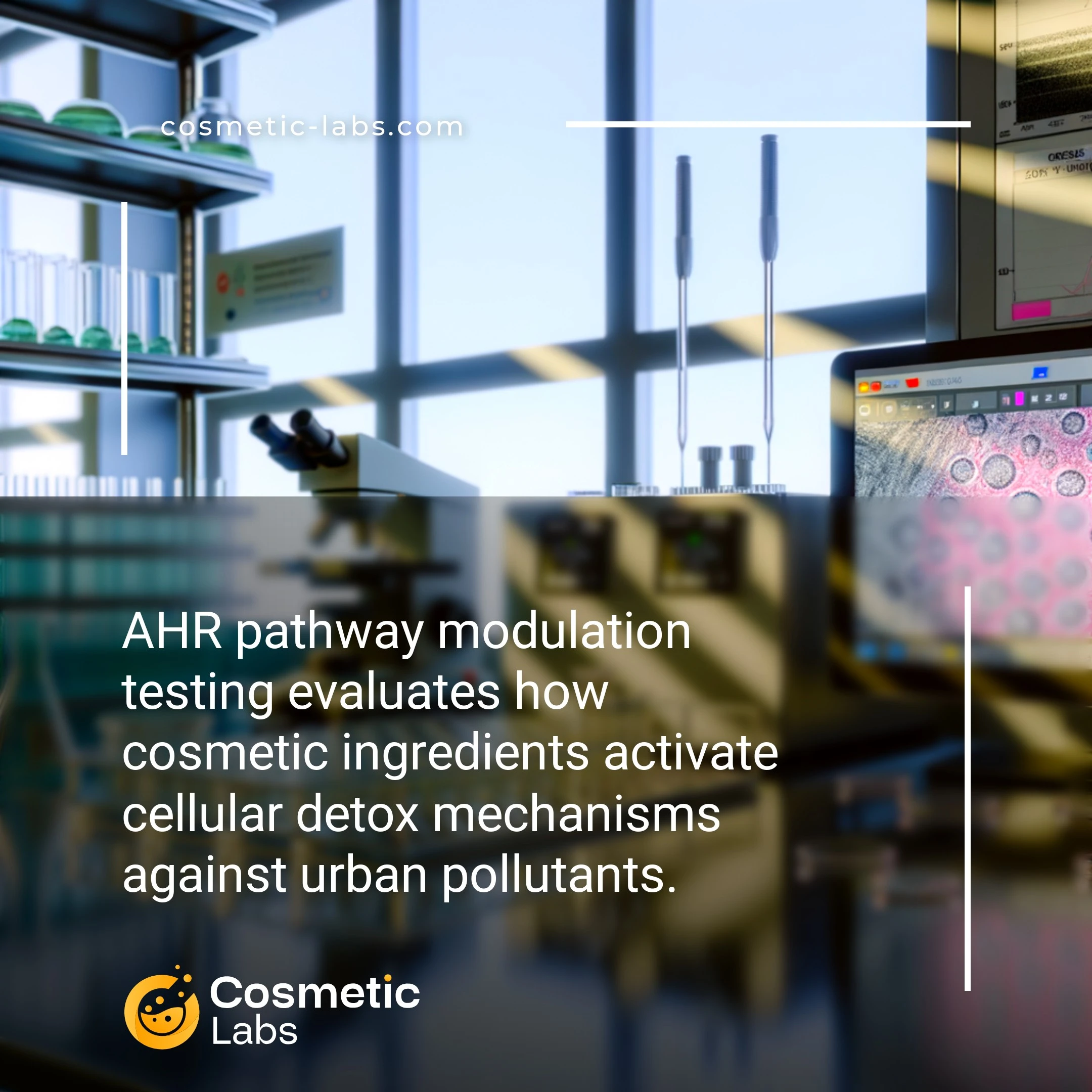 Illustration of AHR pathway modulation services. AHR pathway modulation testing evaluates how cosmetic ingredients activate cellular detox mechanisms against urban pollutants.