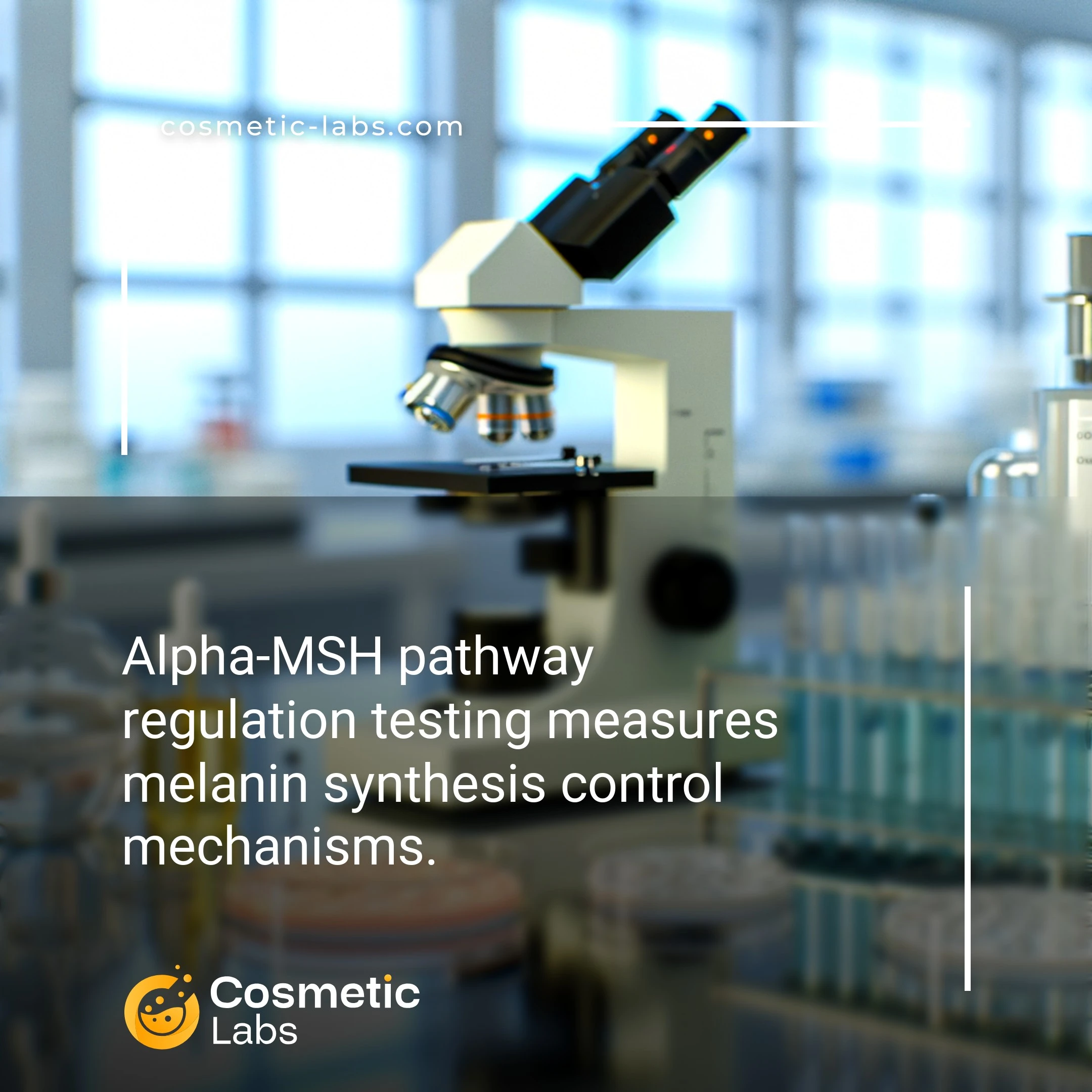 Illustration of alpha-MSH pathway regulation services. Alpha-MSH pathway regulation testing measures melanin synthesis control mechanisms.
