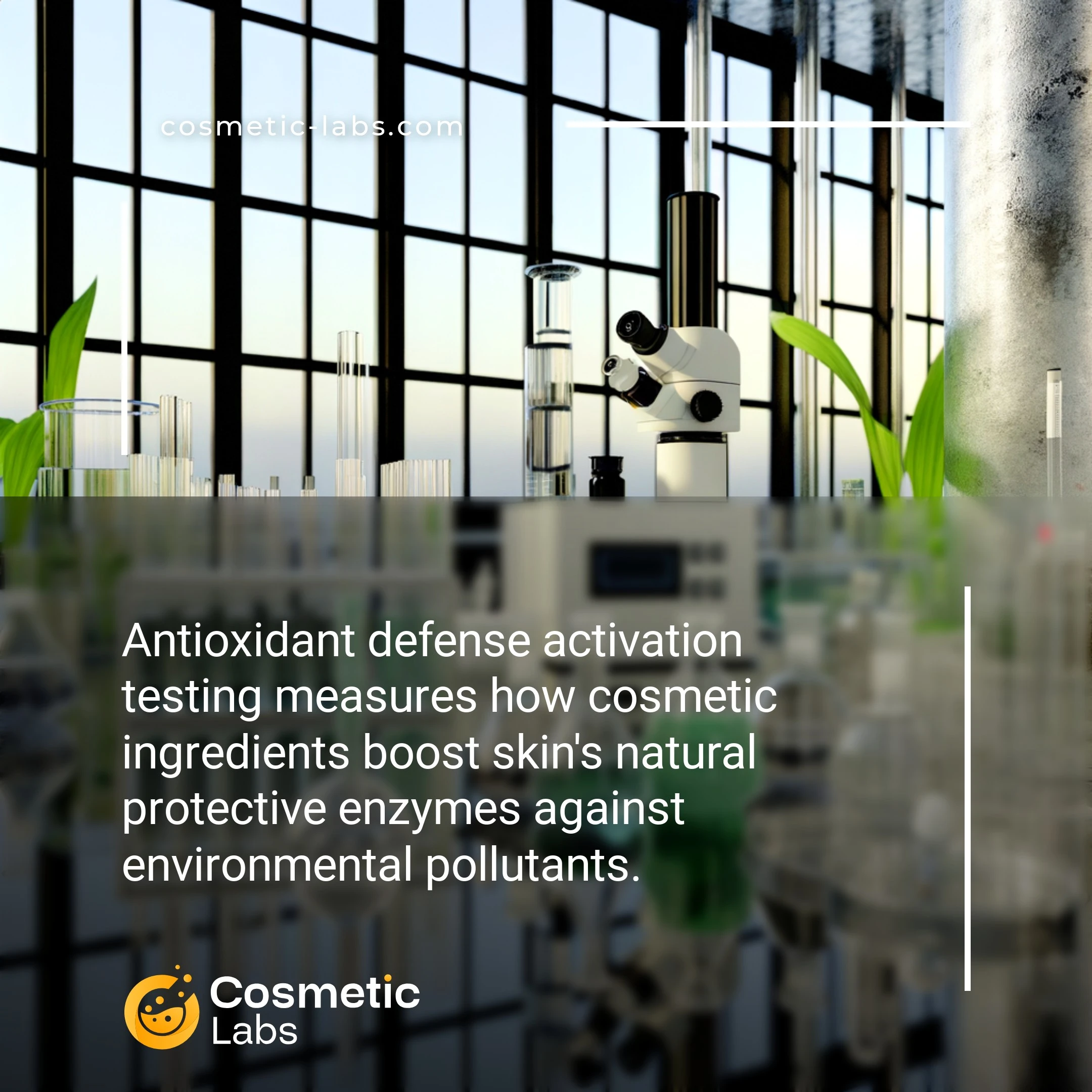 Illustration of Antioxidant defense activation services. Antioxidant defense activation testing measures how cosmetic ingredients boost skin's natural protective enzymes against environmental pollutants.