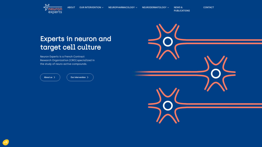 Cover image for Neuron Experts : GPS Coordinates 43.3431311 ; 5.3706586
