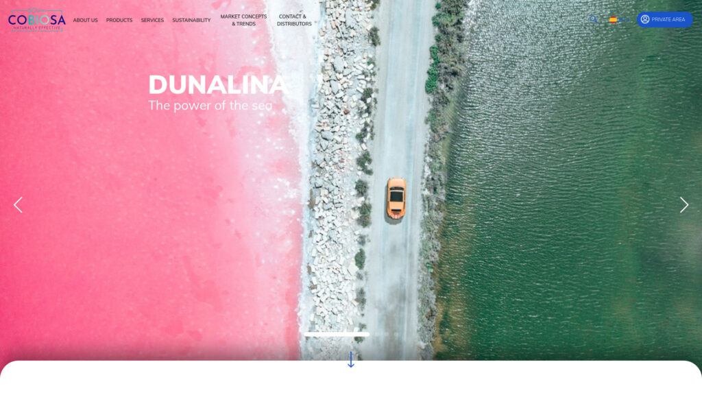 Cover image for Cobiosa : GPS Coordinates 40.649348 ; -3.99699