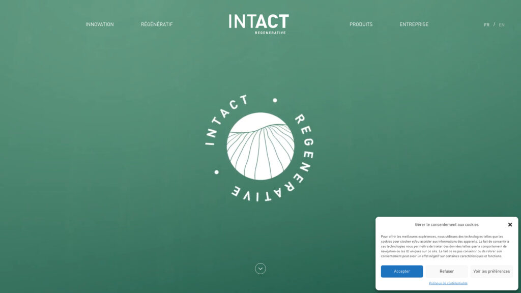 Cover image for Intact : GPS Coordinates 47.854456 ; 1.9118873