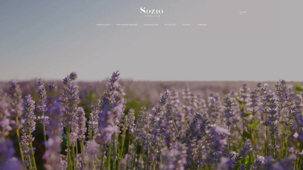Cover image for Sozio : GPS Coordinates 22.365122 ; 114.1352668