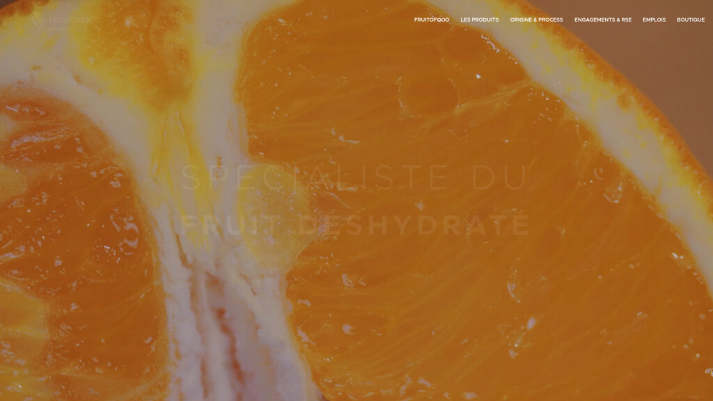 Cover image for Fruitofood : GPS Coordinates 48.5055121 ; 1.0088169