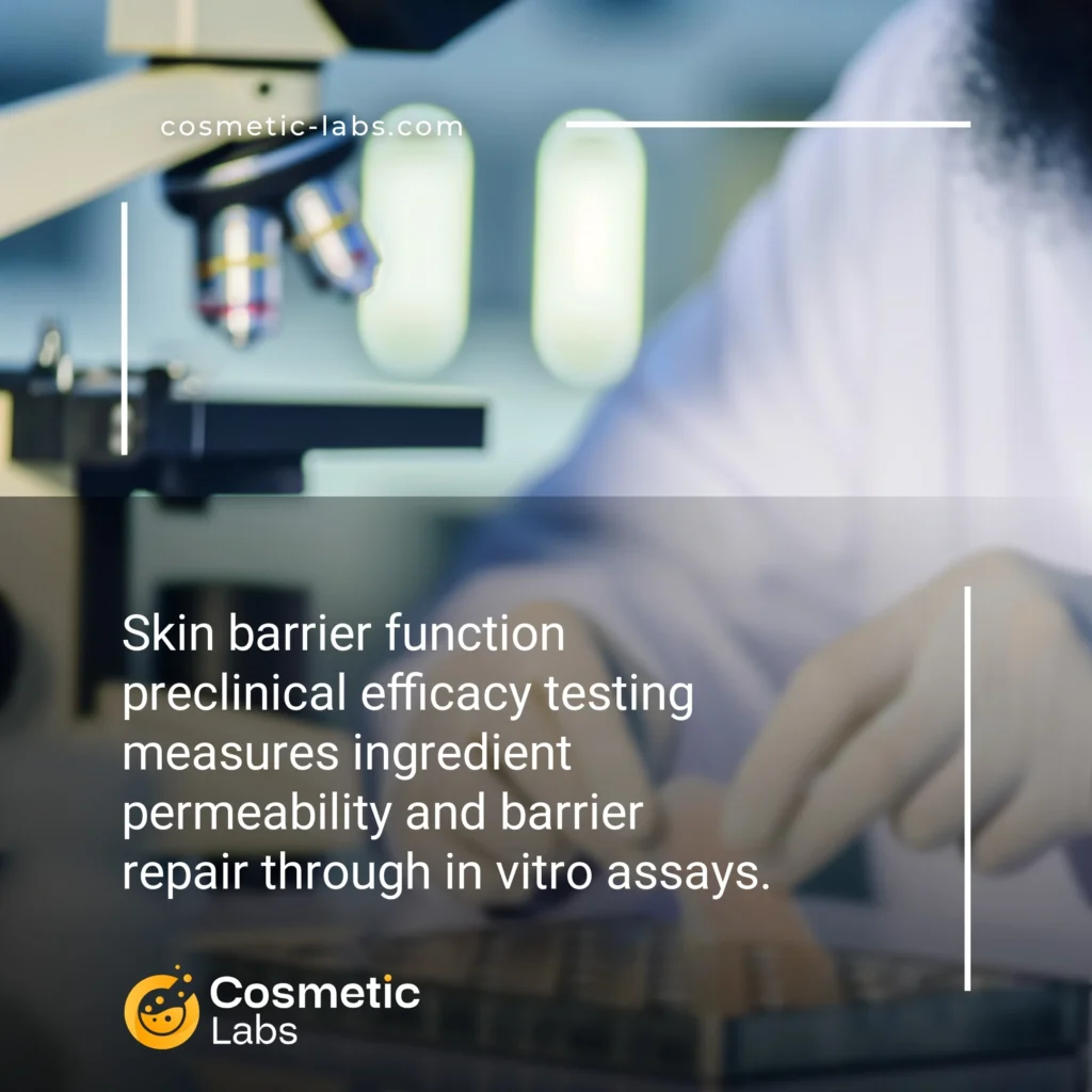 Illustration of Skin barrier function efficacy testing services. Skin barrier function preclinical efficacy testing measures ingredient permeability and barrier repair through in vitro assays.