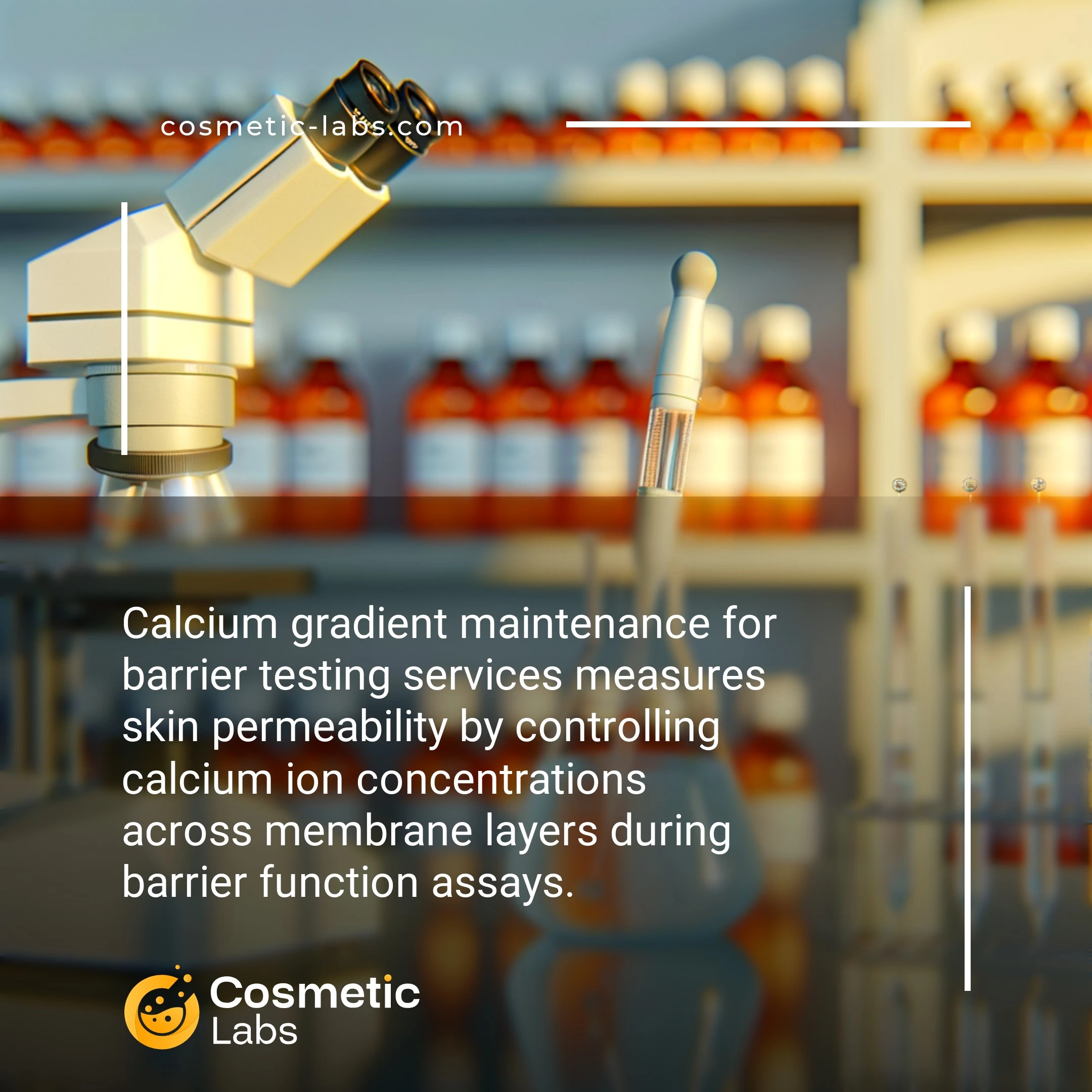 Illustration of Calcium gradient maintenance services. Calcium gradient maintenance for barrier testing services measures skin permeability by controlling calcium ion concentrations across membrane layers during barrier function assays.