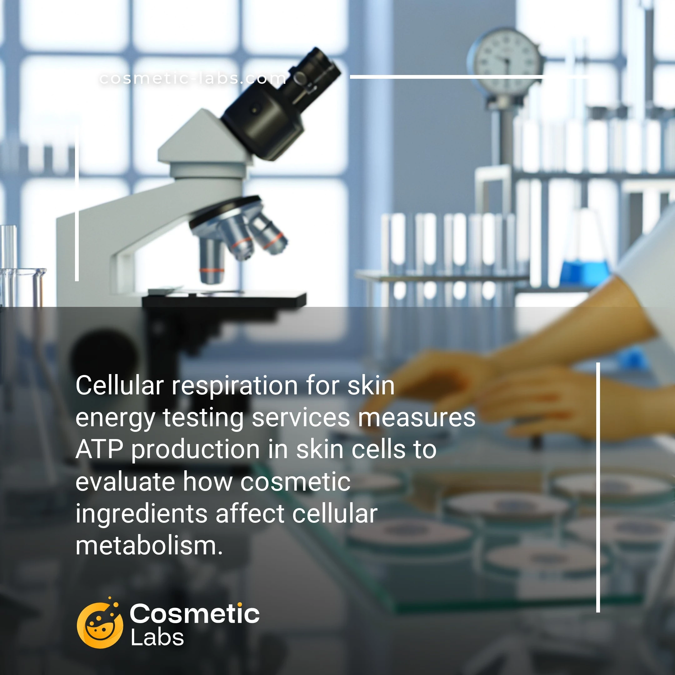 Illustration of Cellular respiration services. Cellular respiration for skin energy testing services measures ATP production in skin cells to evaluate how cosmetic ingredients affect cellular metabolism.