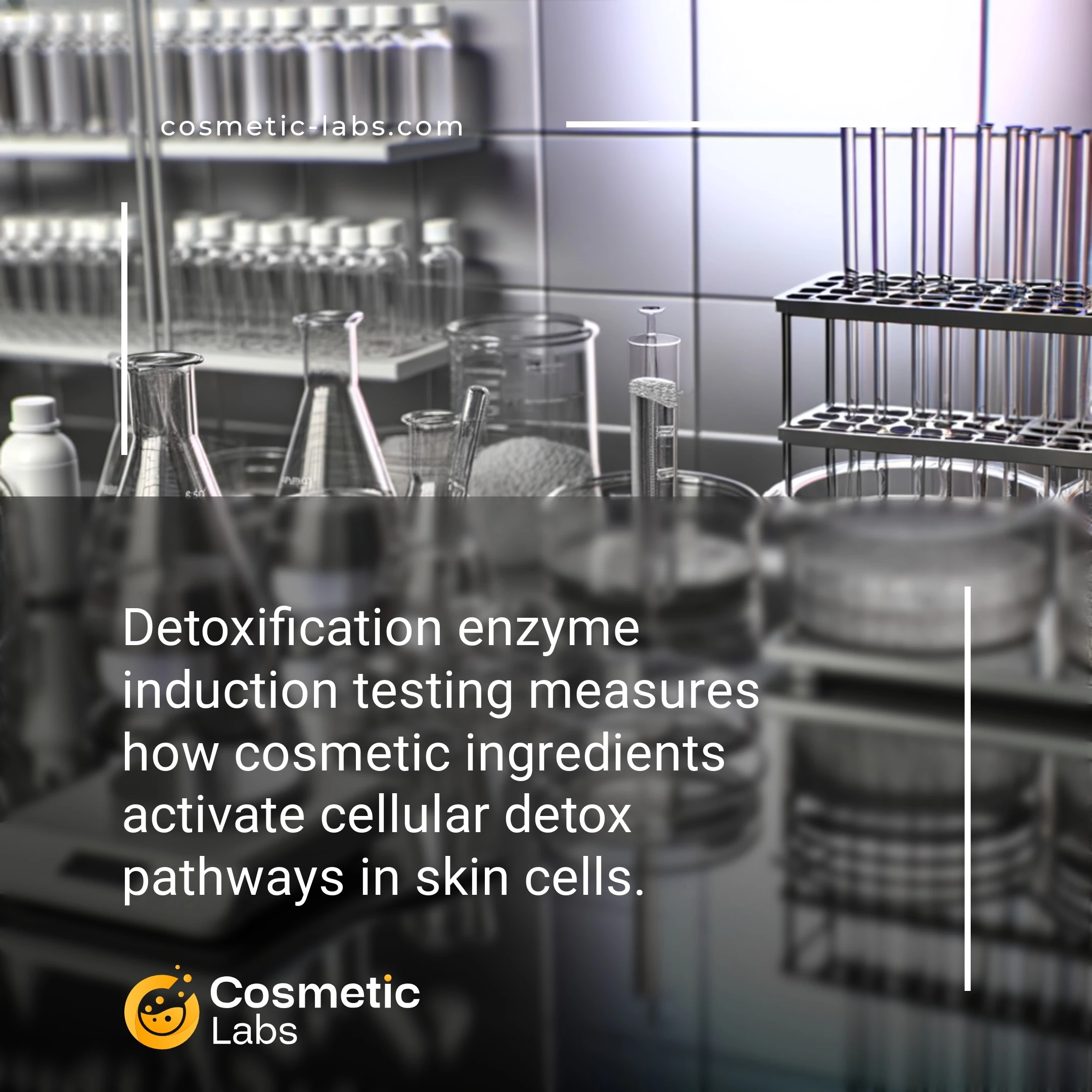 Illustration of Detoxification enzymes induction testing services. Detoxification enzyme induction testing measures how cosmetic ingredients activate cellular detox pathways in skin cells.