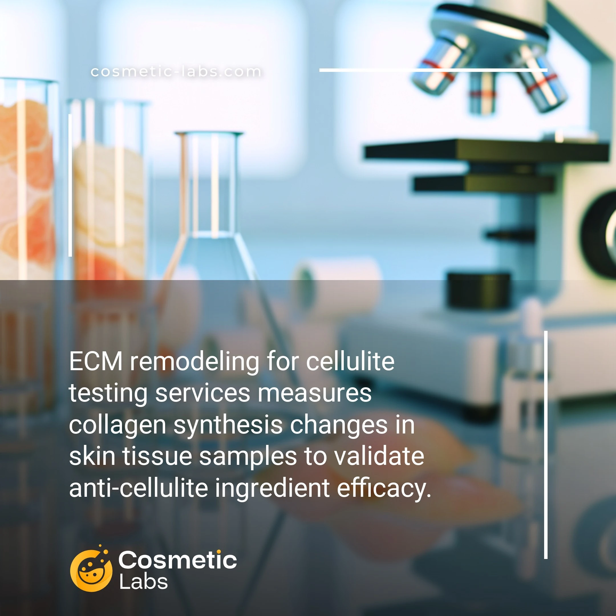 Illustration of ECM remodeling services. ECM remodeling for cellulite testing services measures collagen synthesis changes in skin tissue samples to validate anti-cellulite ingredient efficacy.