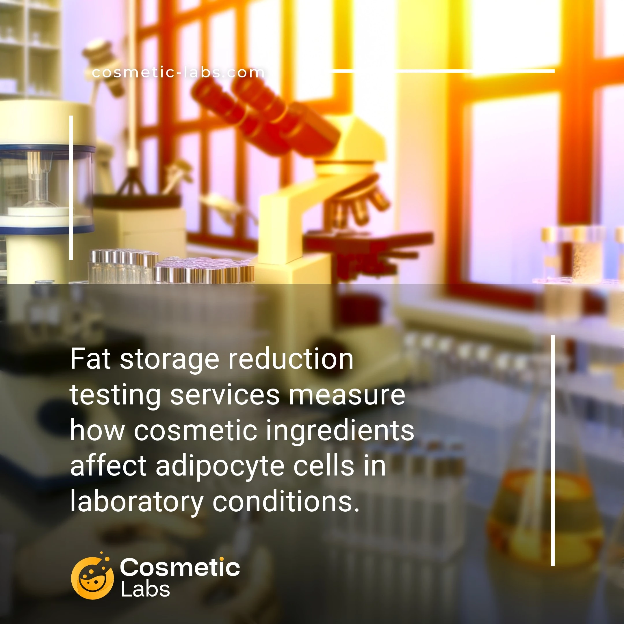 Illustration of Fat storage reduction testing services. Fat storage reduction testing services measure how cosmetic ingredients affect adipocyte cells in laboratory conditions.