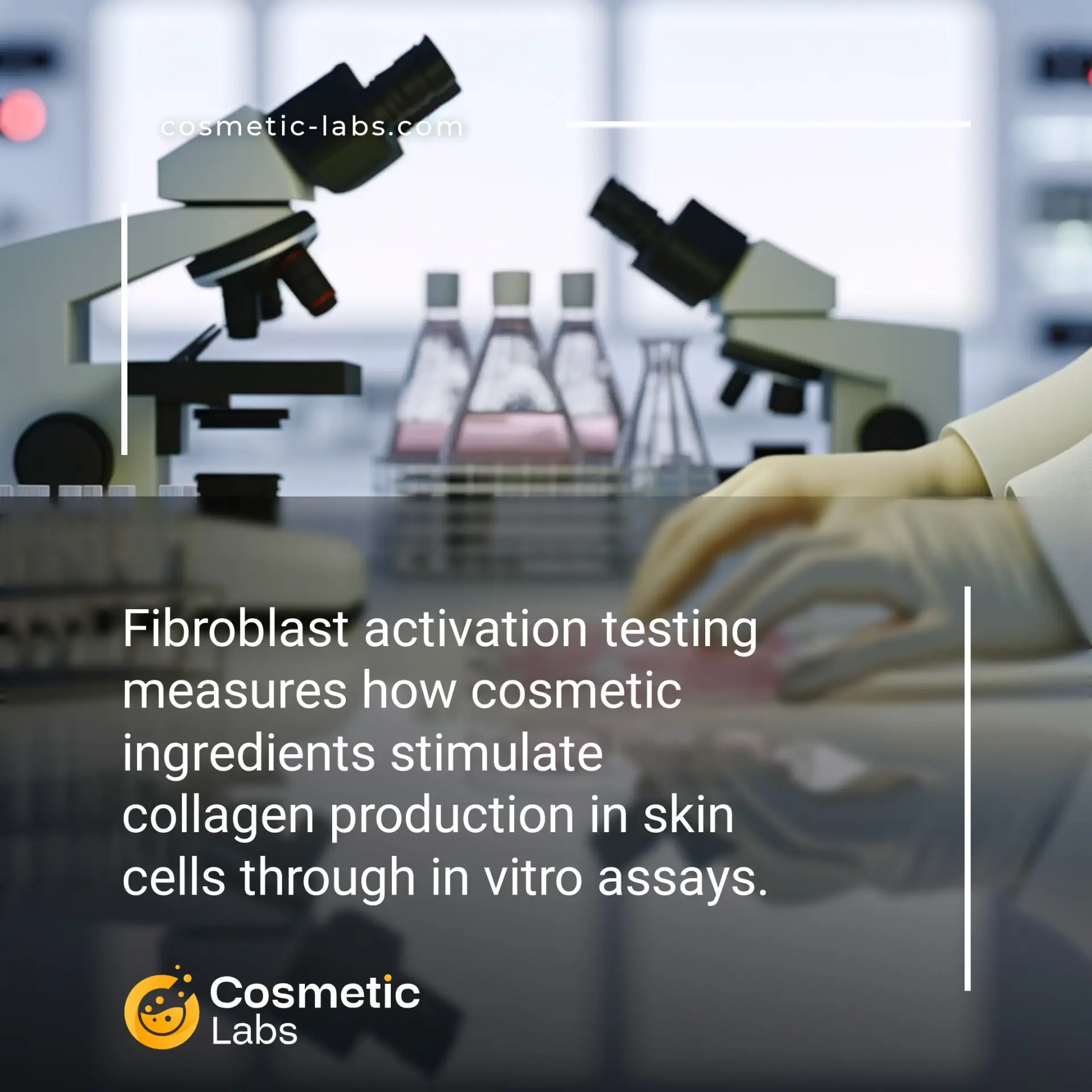 Illustration of Fibroblast activation testing services. Fibroblast activation testing measures how cosmetic ingredients stimulate collagen production in skin cells through in vitro assays.
