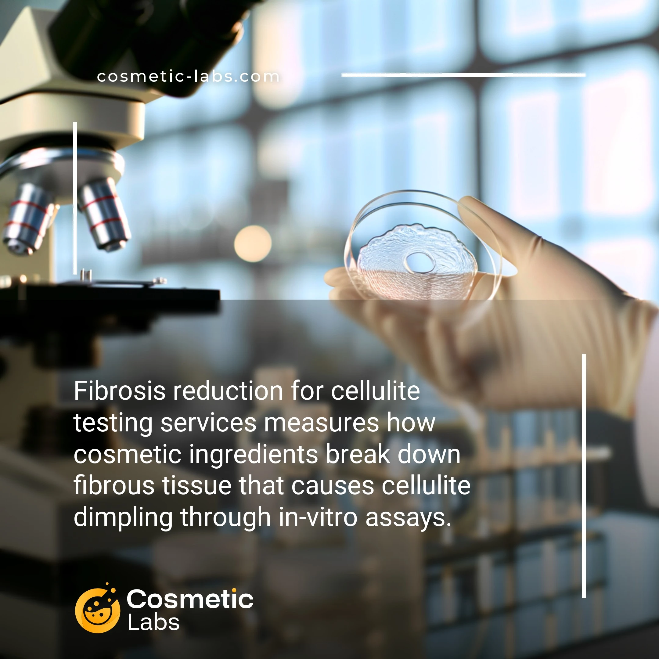 Illustration of Fibrosis reduction services. Fibrosis reduction for cellulite testing services measures how cosmetic ingredients break down fibrous tissue that causes cellulite dimpling through in-vitro assays.