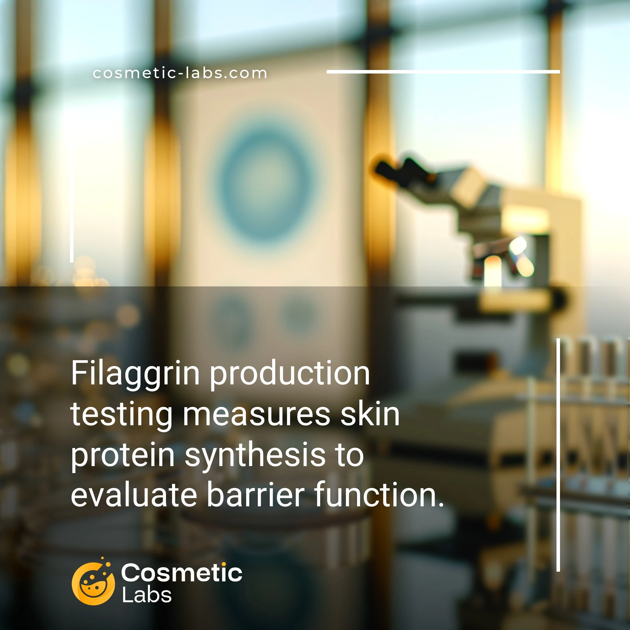 Illustration of Filaggrin production services. Filaggrin production testing measures skin protein synthesis to evaluate barrier function.