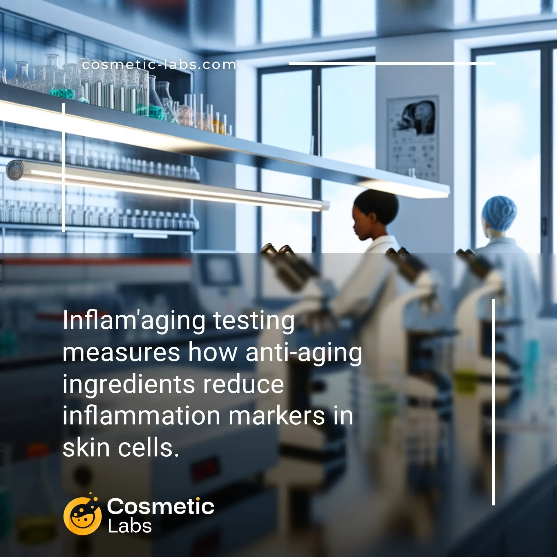 Illustration of Inflam'aging testing services. Inflam'aging testing measures how anti-aging ingredients reduce inflammation markers in skin cells.
