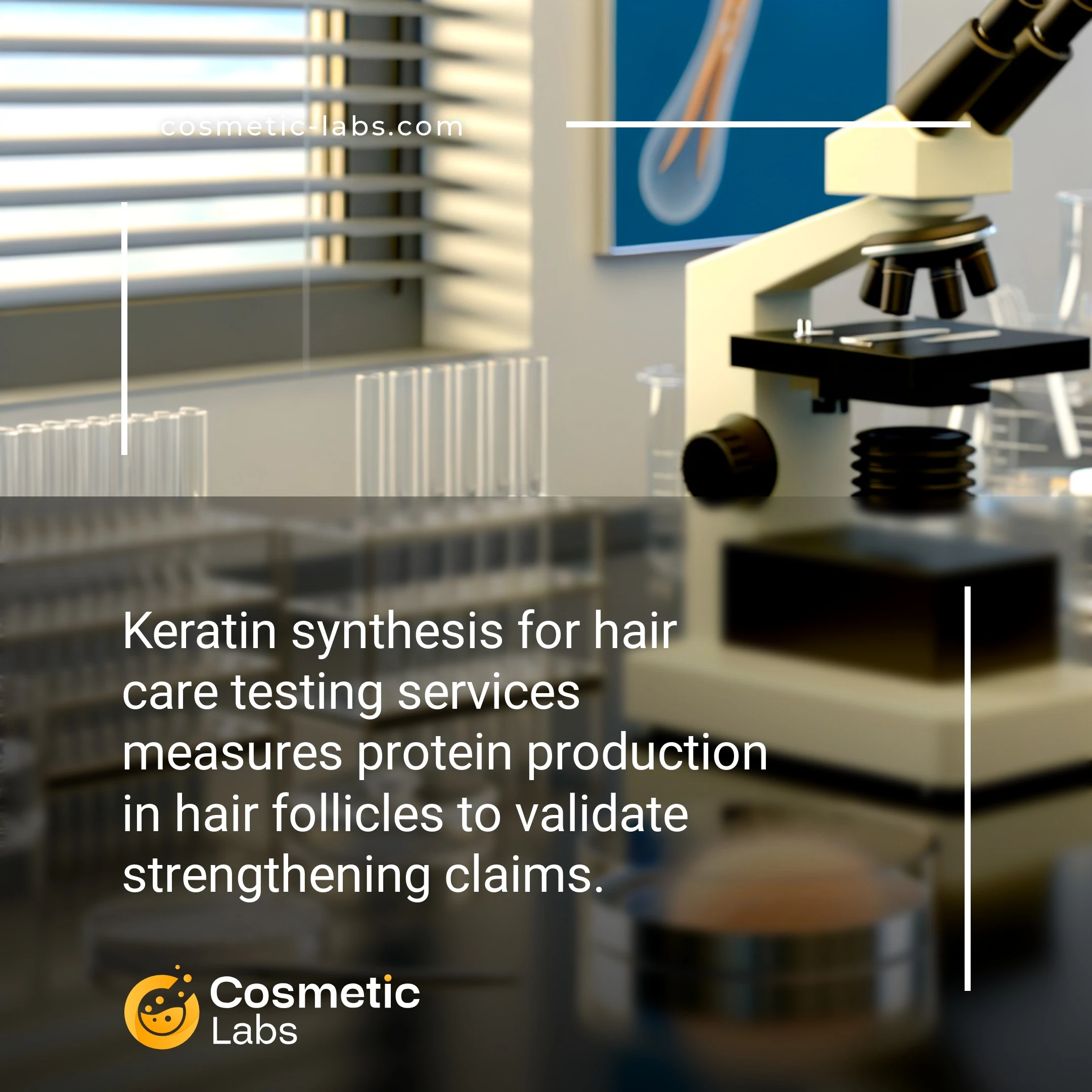 Illustration of Keratin synthesis services. Keratin synthesis for hair care testing services measures protein production in hair follicles to validate strengthening claims.