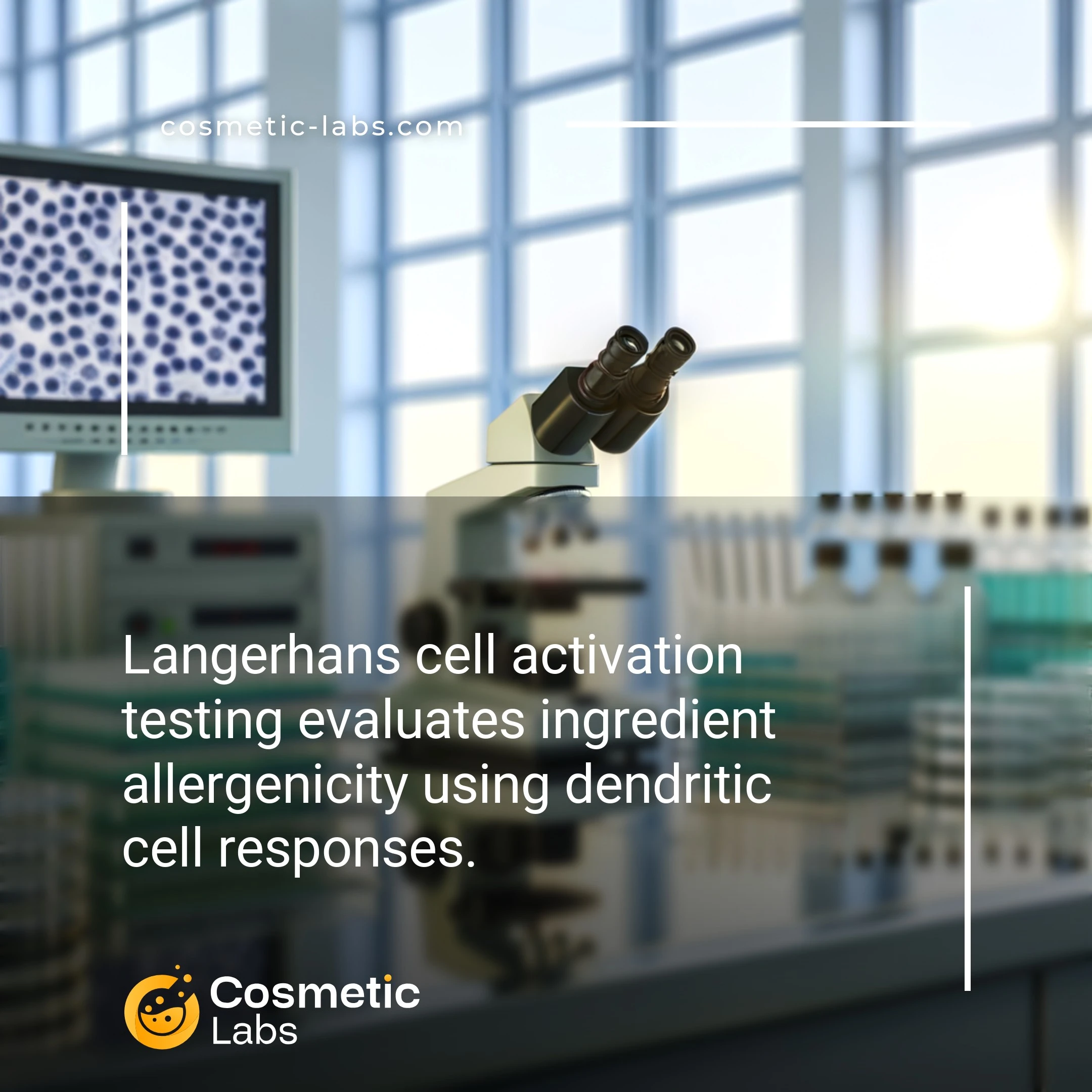 Illustration of Langerhans cell activation services. Langerhans cell activation testing evaluates ingredient allergenicity using dendritic cell responses.