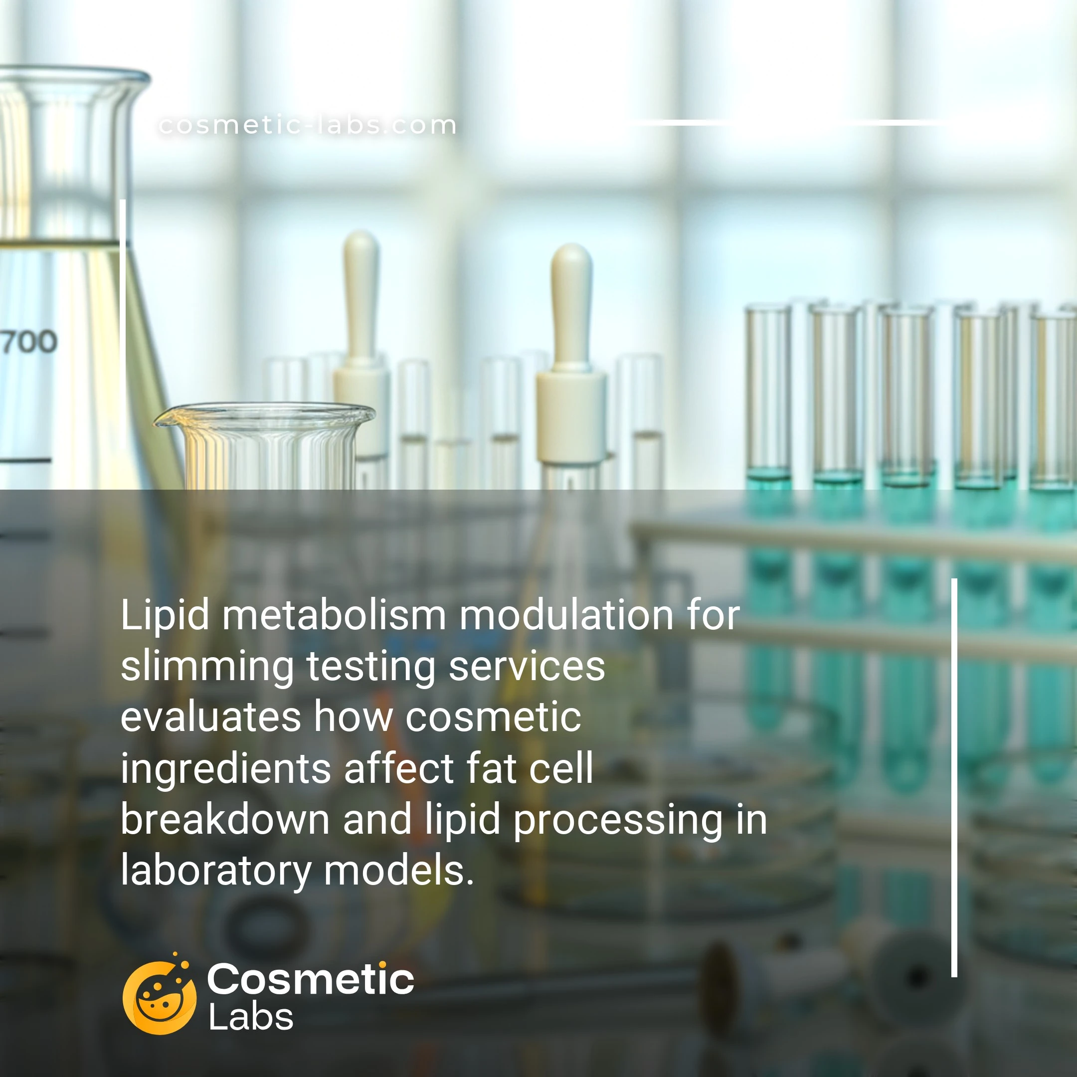 Illustration of Lipid metabolism modulation services. Lipid metabolism modulation for slimming testing services evaluates how cosmetic ingredients affect fat cell breakdown and lipid processing in laboratory models.