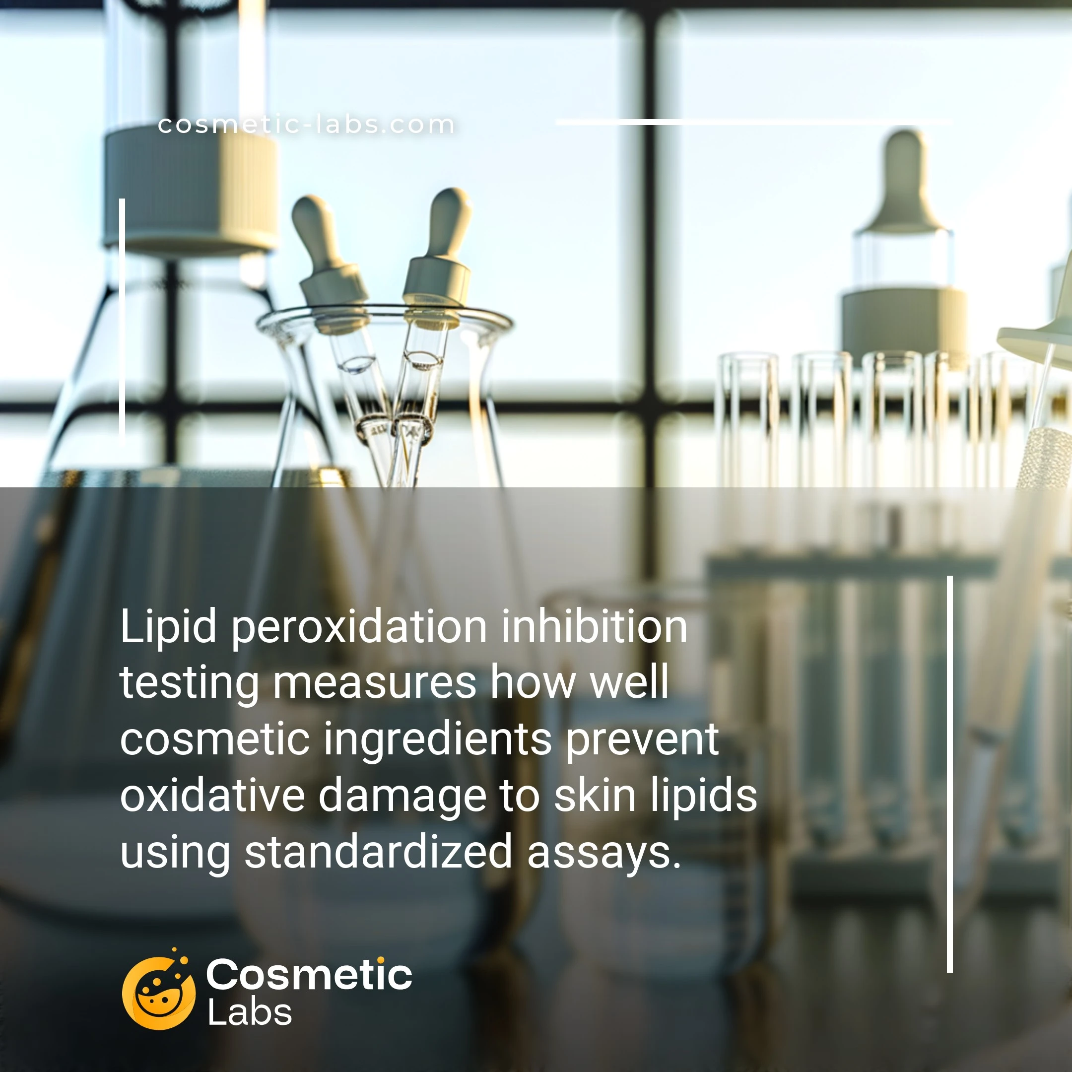 Illustration of Lipid peroxidation inhibition testing services. Lipid peroxidation inhibition testing measures how well cosmetic ingredients prevent oxidative damage to skin lipids using standardized assays.
