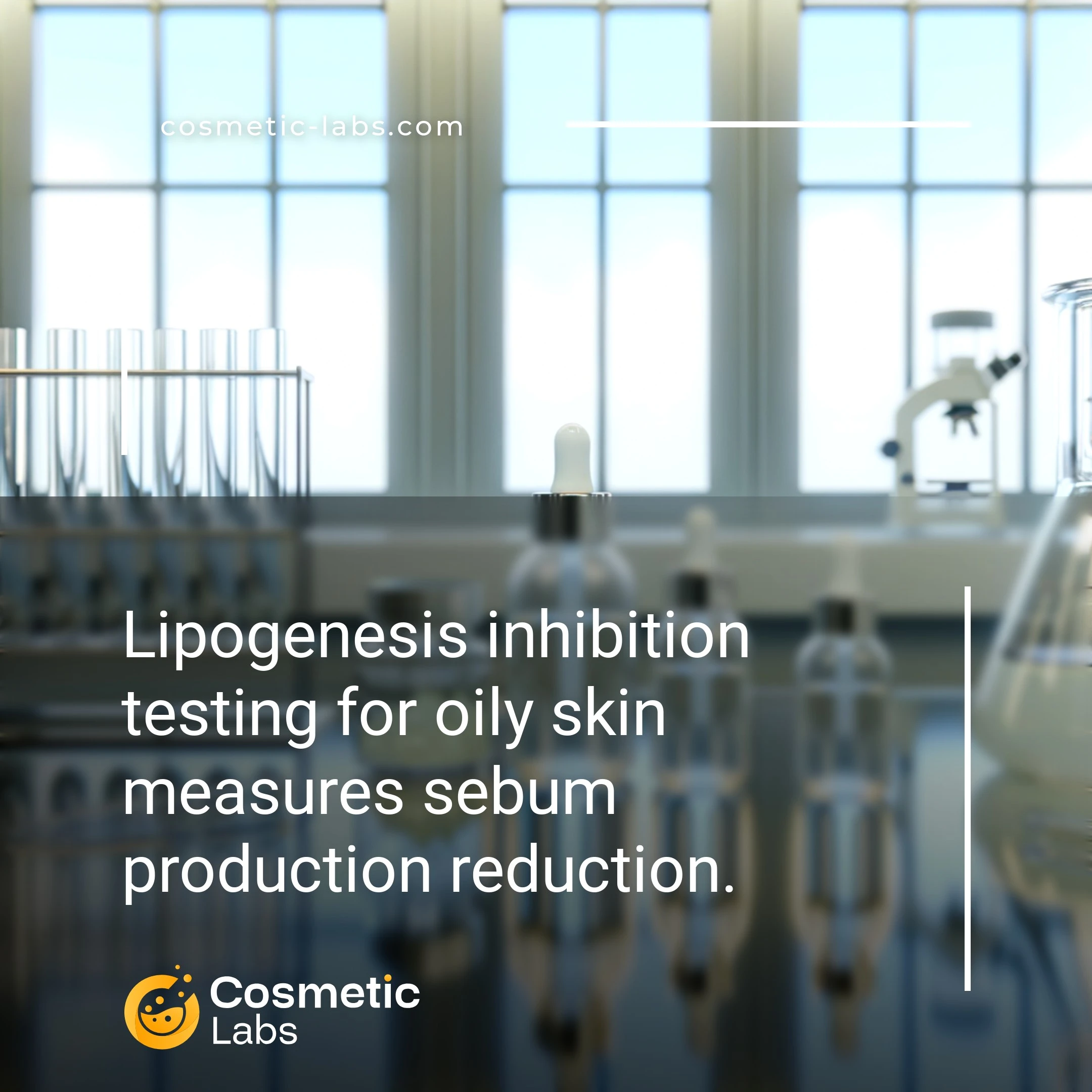 Illustration of Lipogenesis inhibition services. Lipogenesis inhibition testing for oily skin measures sebum production reduction.