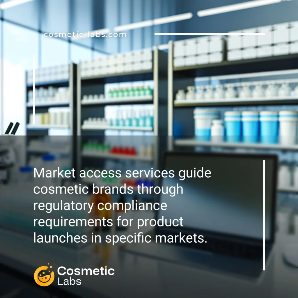 Illustration of Market access services. Market access services guide cosmetic brands through regulatory compliance requirements for product launches in specific markets.