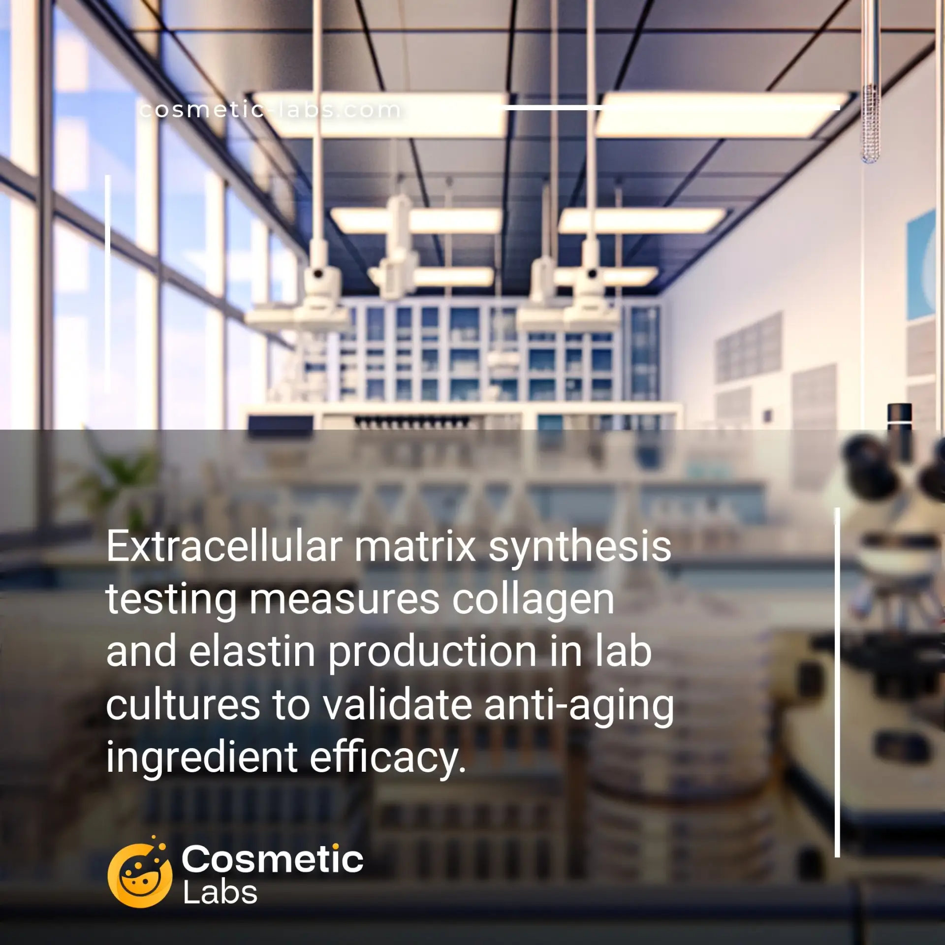 Illustration of Extracellular matrix synthesis testing services. Extracellular matrix synthesis testing measures collagen and elastin production in lab cultures to validate anti-aging ingredient efficacy.