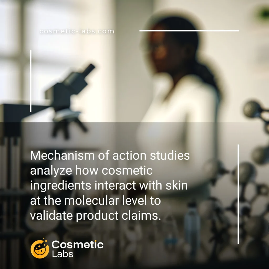 Illustration of Mechanism of actions studies services. Mechanism of action studies analyze how cosmetic ingredients interact with skin at the molecular level to validate product claims.