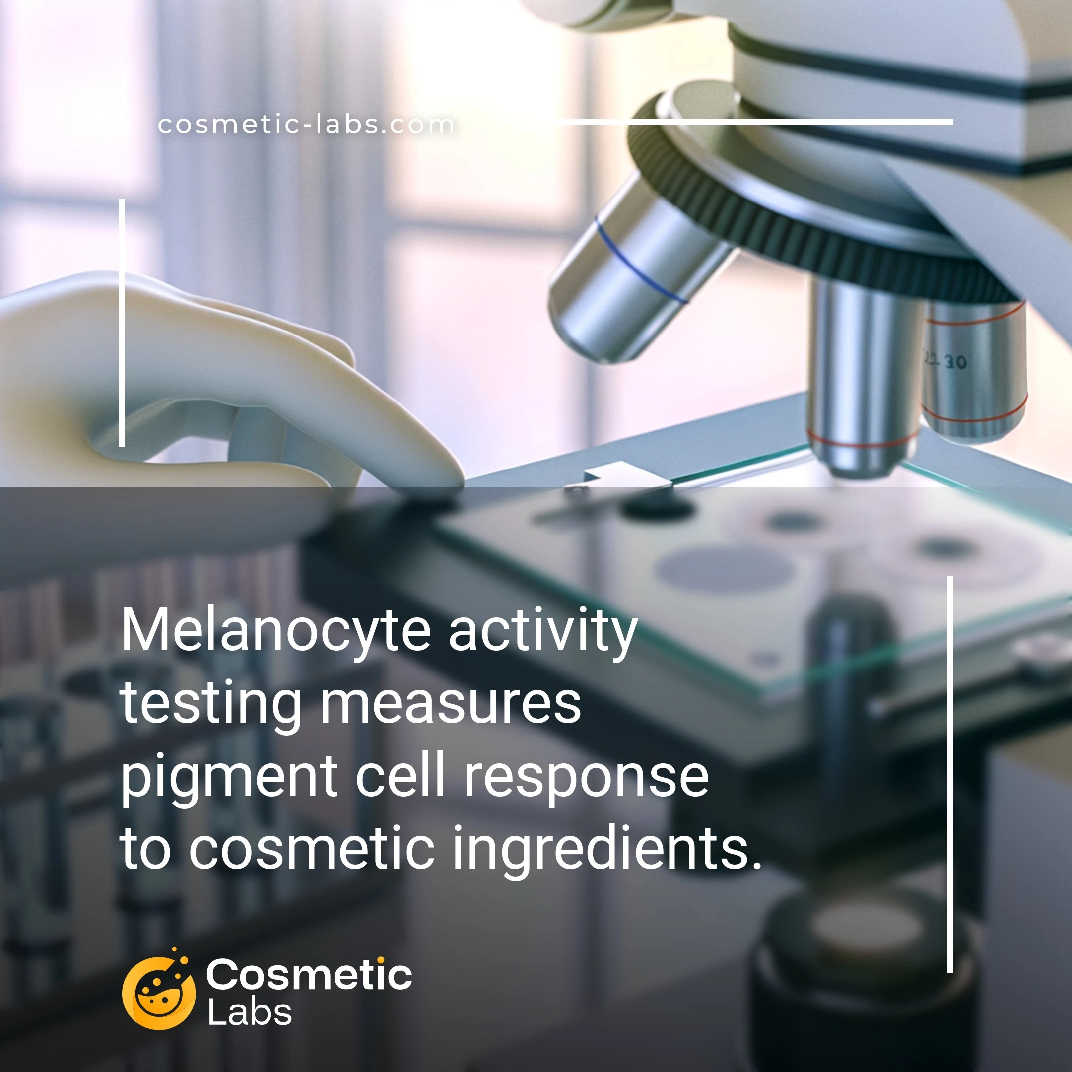 Illustration of Melanocyte activity testing services. Melanocyte activity testing measures pigment cell response to cosmetic ingredients.