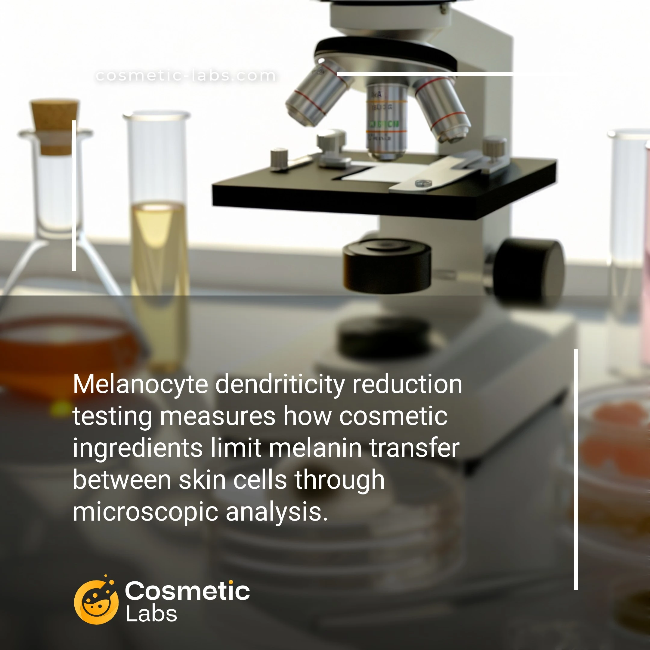Illustration of Melanocyte dendriticity reduction testing services. Melanocyte dendriticity reduction testing measures how cosmetic ingredients limit melanin transfer between skin cells through microscopic analysis.