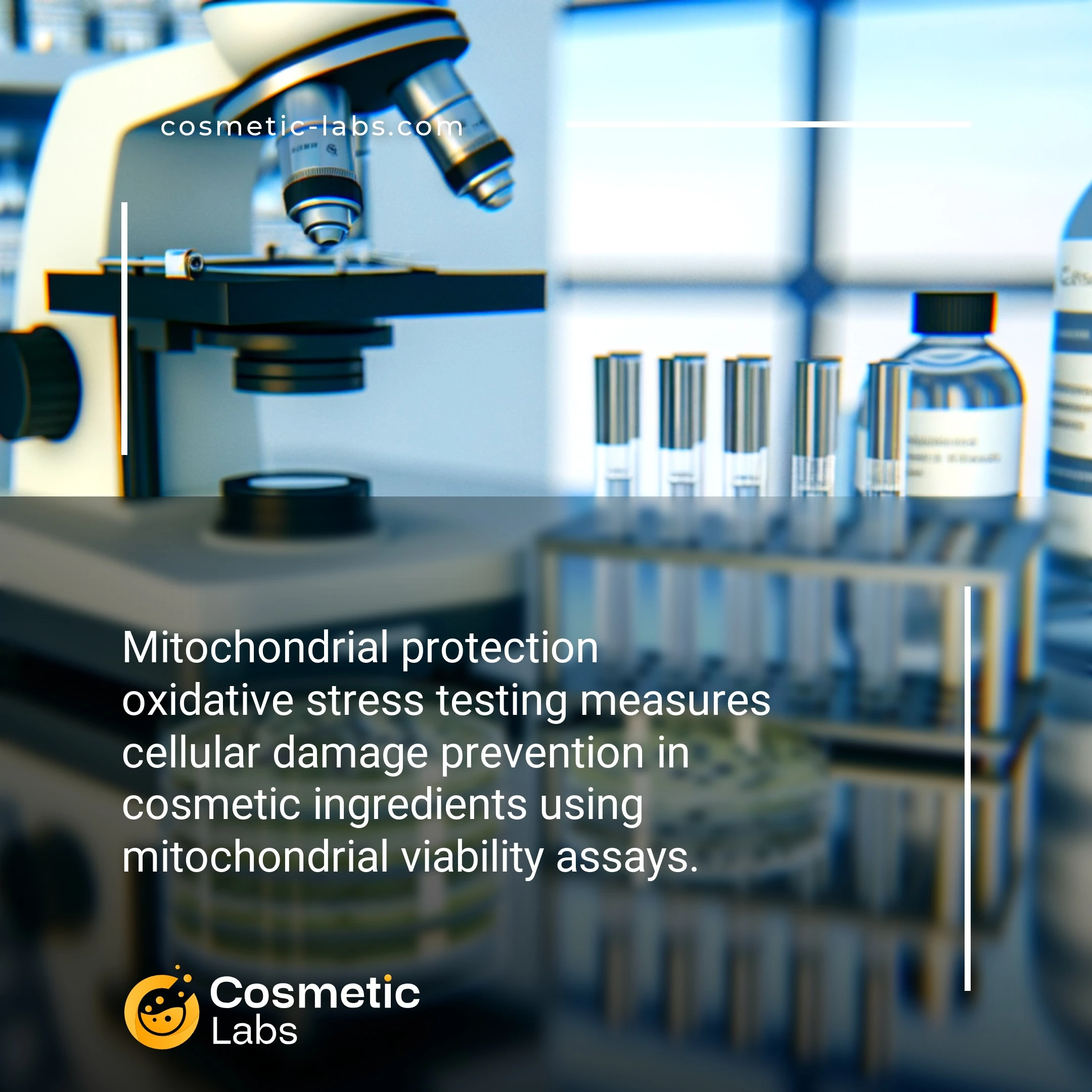 Illustration of Mitochondrial protection services. Mitochondrial protection oxidative stress testing measures cellular damage prevention in cosmetic ingredients using mitochondrial viability assays.