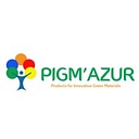 Logo Pigm Azur : GPS Coordinates 43.7009596 - 7.2236158