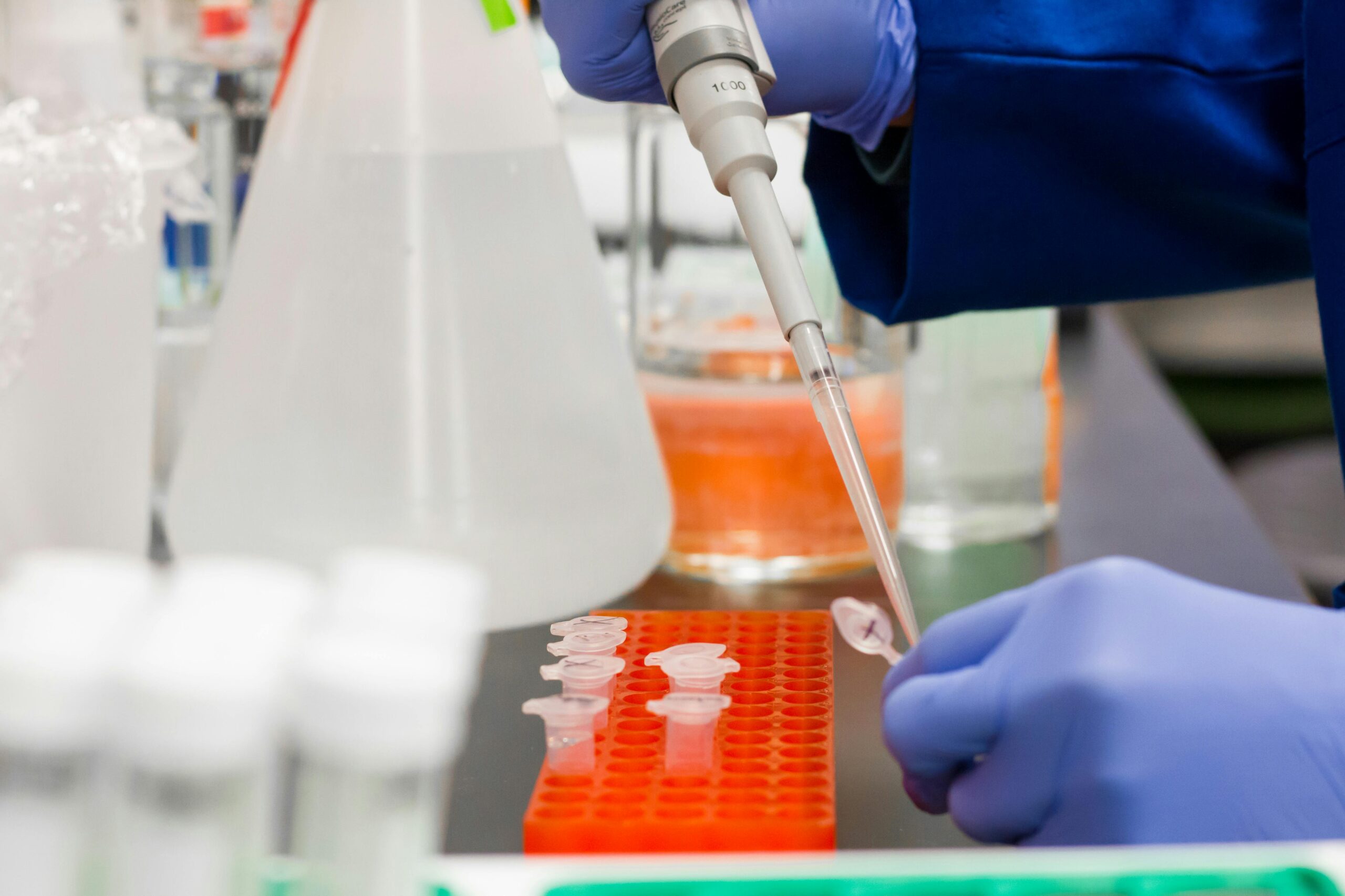 preclinical stage of cosmetic product development