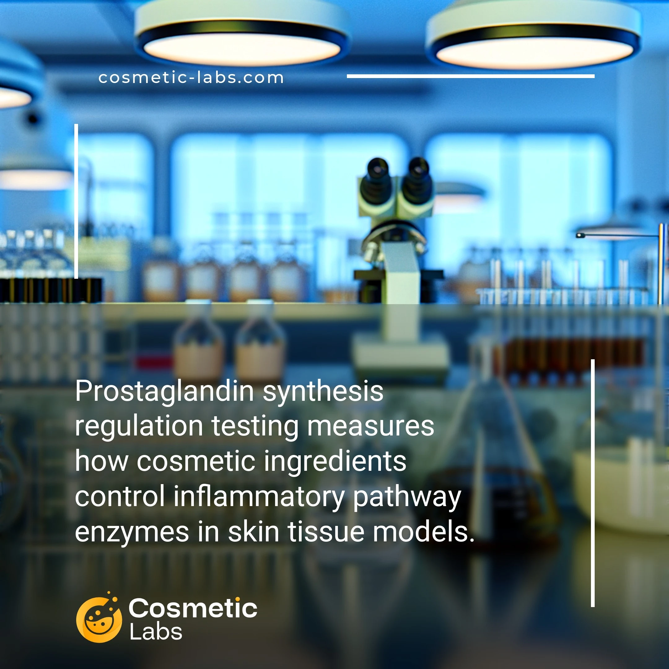 Illustration of Prostaglandin synthesis regulation services. Prostaglandin synthesis regulation testing measures how cosmetic ingredients control inflammatory pathway enzymes in skin tissue models.