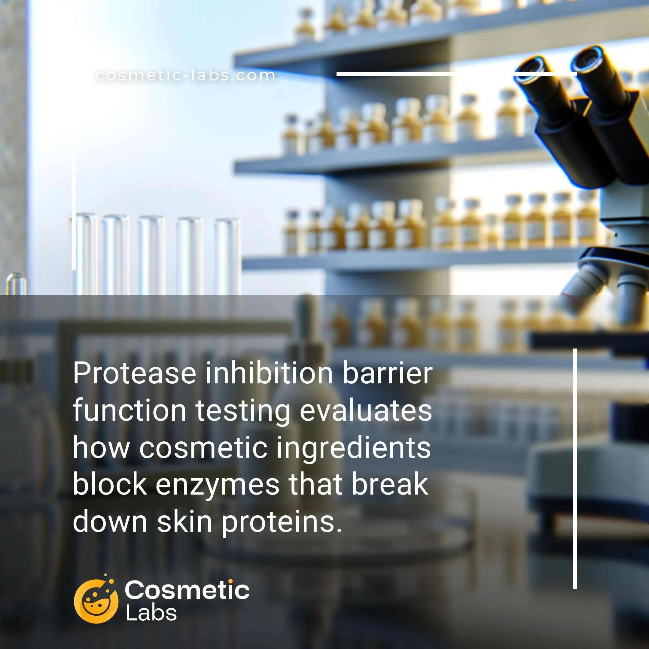 Illustration of Proteases inhibition services. Protease inhibition barrier function testing evaluates how cosmetic ingredients block enzymes that break down skin proteins.