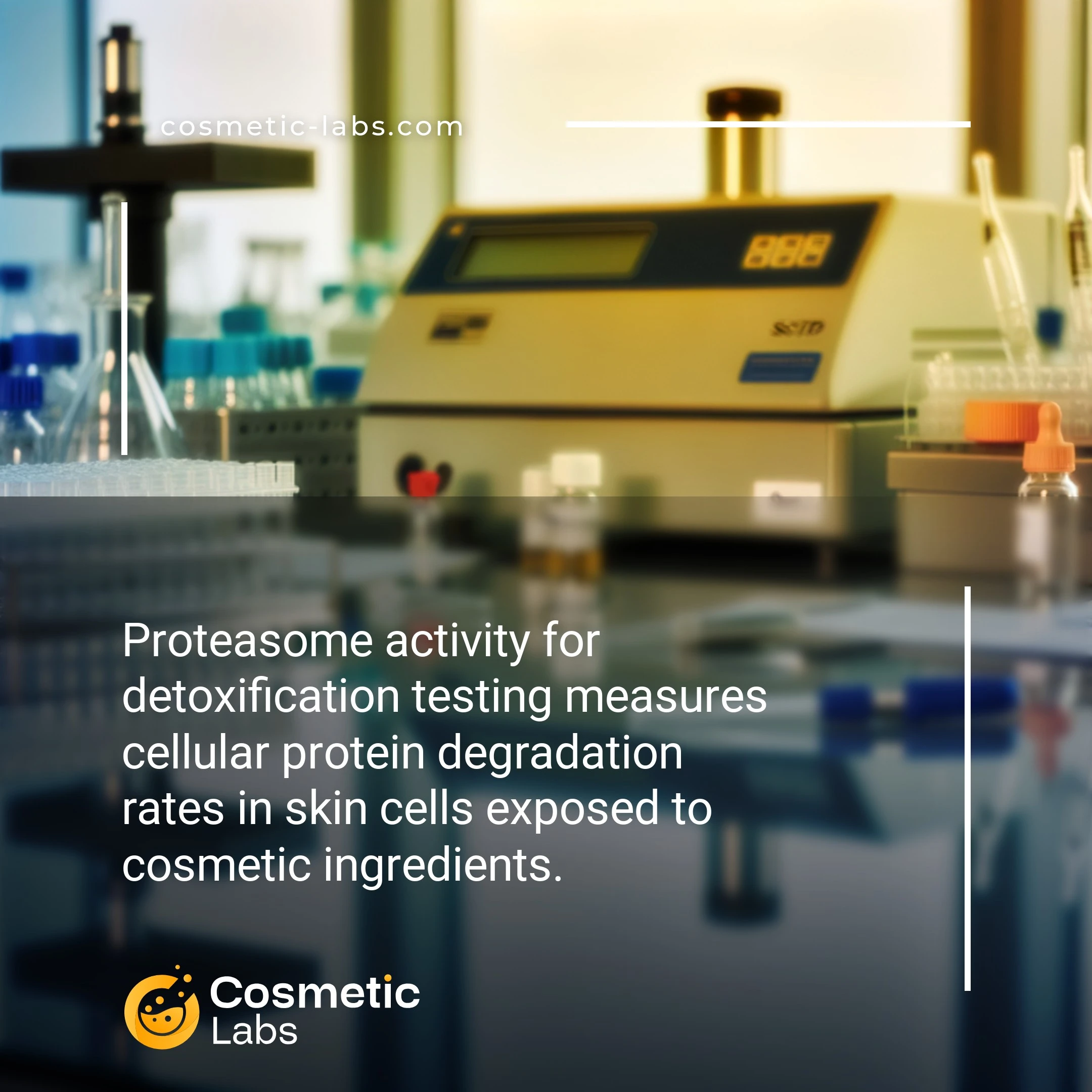 Illustration of Proteasome activity services. Proteasome activity for detoxification testing measures cellular protein degradation rates in skin cells exposed to cosmetic ingredients.