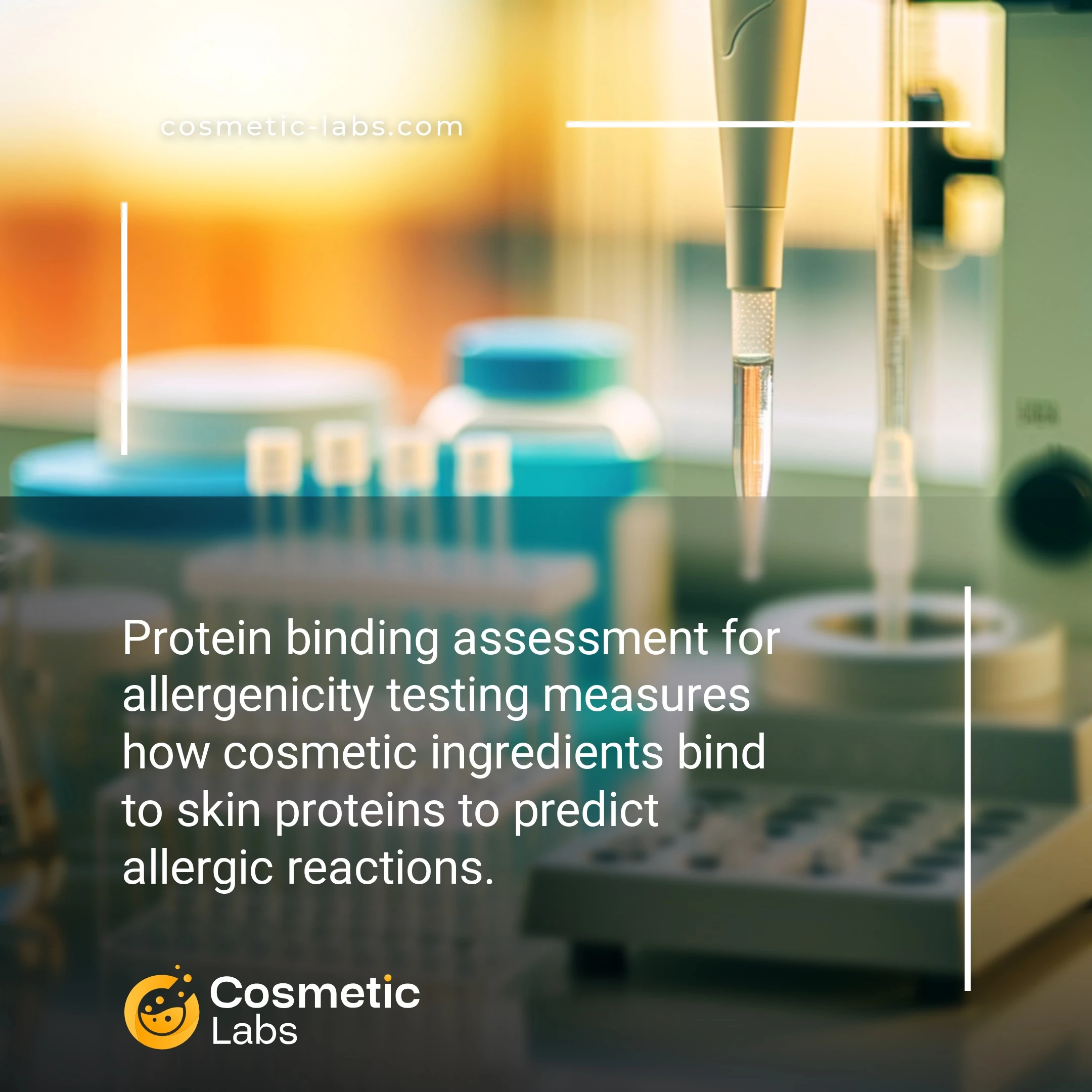 Illustration of Protein binding assessment services. Protein binding assessment for allergenicity testing measures how cosmetic ingredients bind to skin proteins to predict allergic reactions.