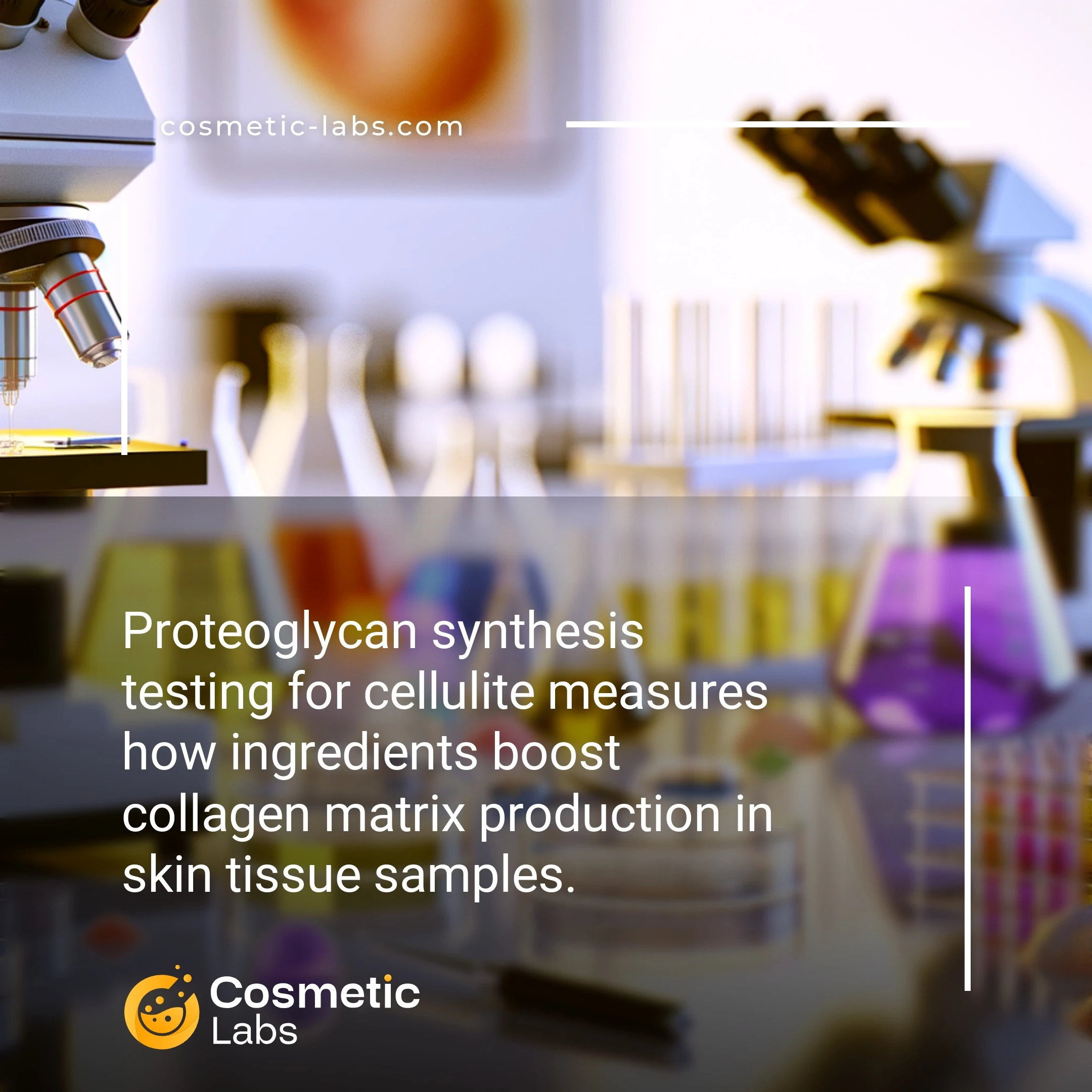Illustration of Proteoglycan synthesis services. Proteoglycan synthesis testing for cellulite measures how ingredients boost collagen matrix production in skin tissue samples.