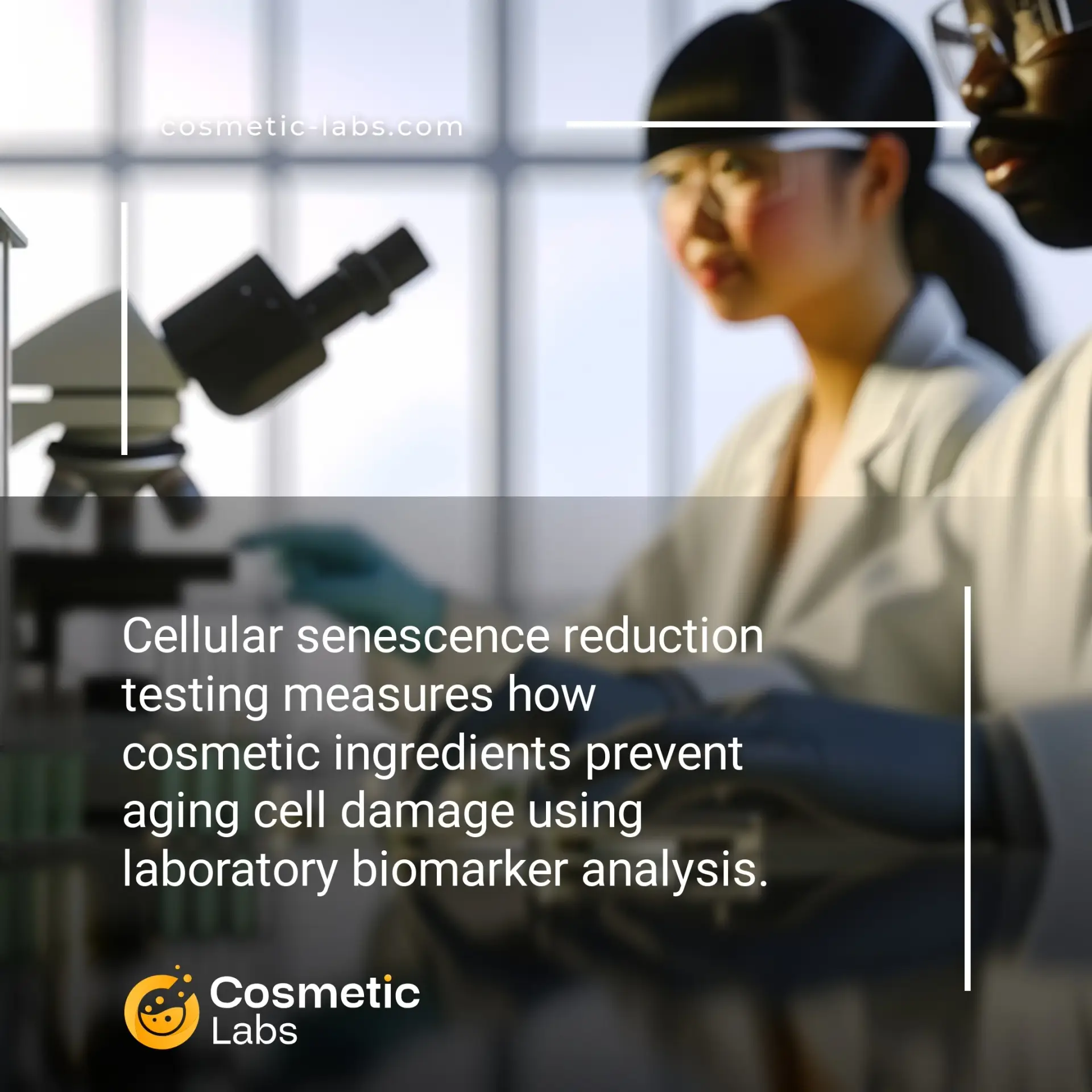 Illustration of Cellular senescence reduction testing services. Cellular senescence reduction testing measures how cosmetic ingredients prevent aging cell damage using laboratory biomarker analysis.