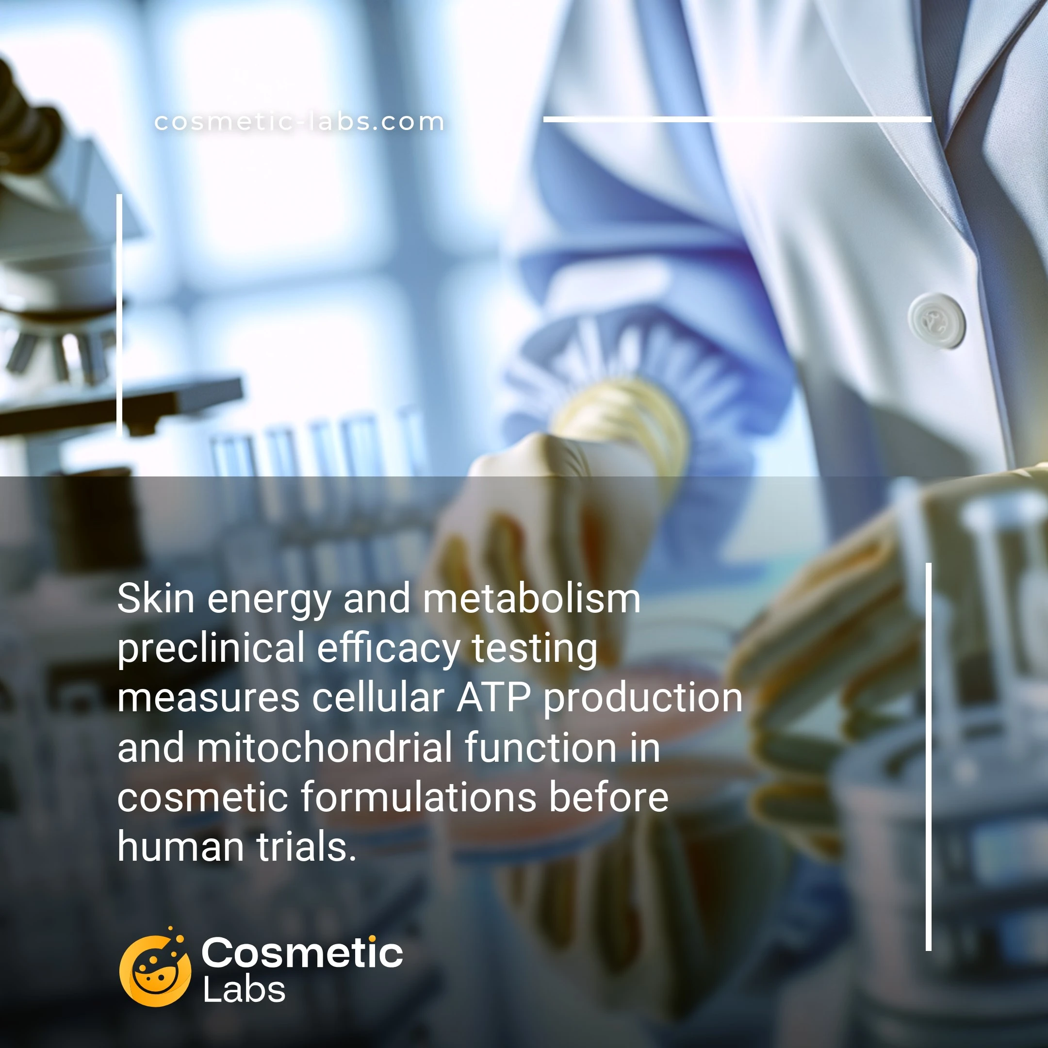 Illustration of Skin energy and metabolism efficacy testing services. Skin energy and metabolism preclinical efficacy testing measures cellular ATP production and mitochondrial function in cosmetic formulations before human trials.