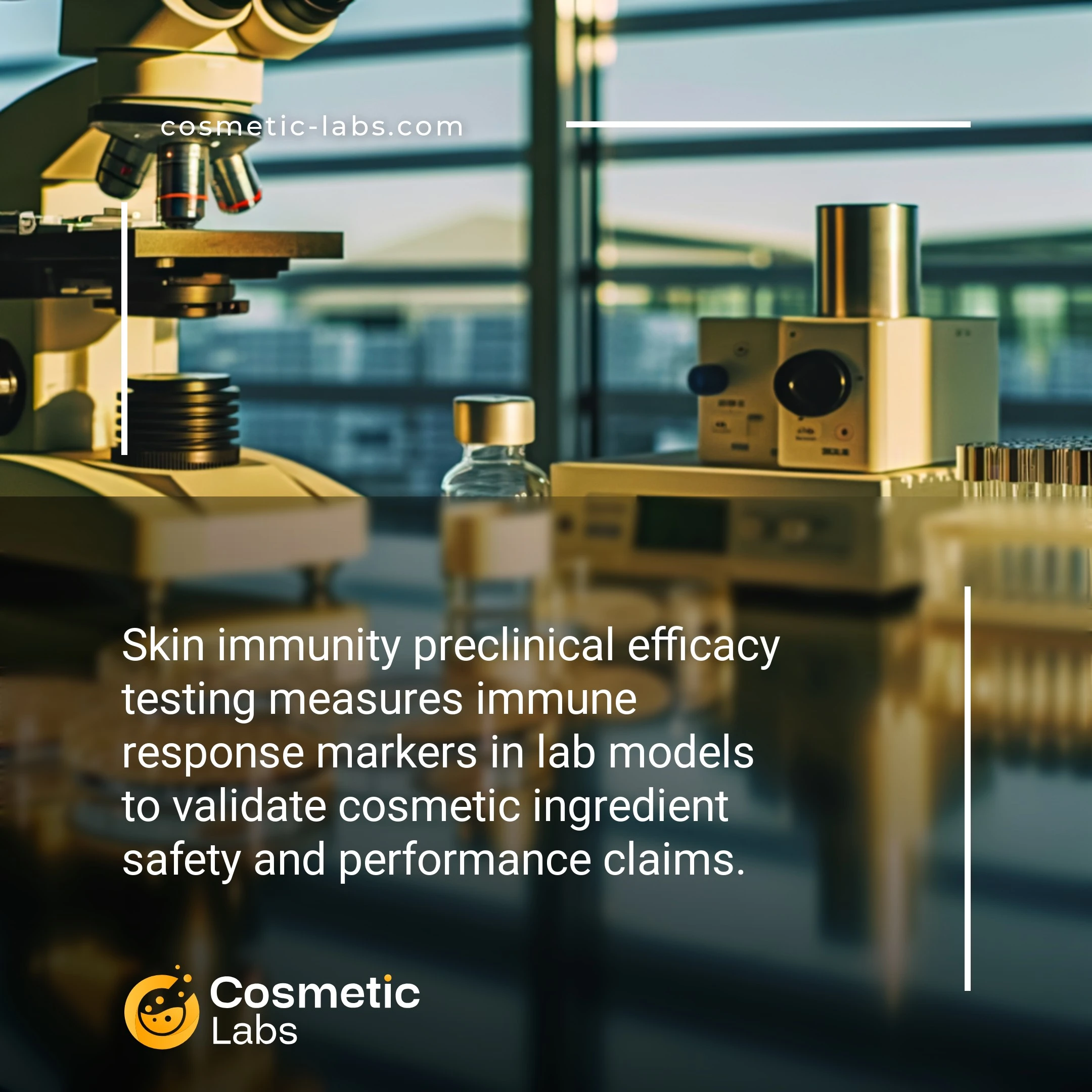 Illustration of Skin immunity efficacy testing services. Skin immunity preclinical efficacy testing measures immune response markers in lab models to validate cosmetic ingredient safety and performance claims.