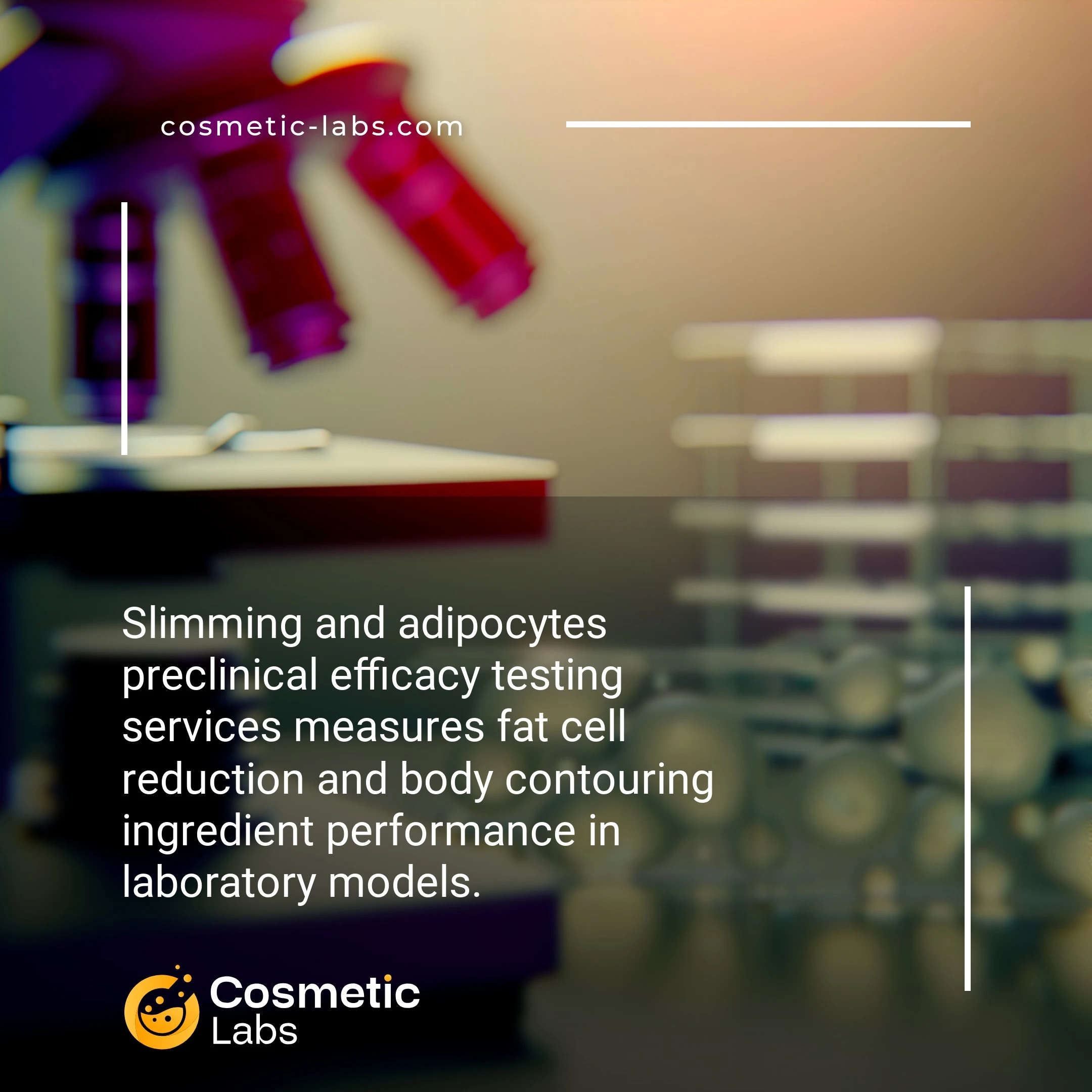 Illustration of Slimming and adipocytes efficacy testing services. Slimming and adipocytes preclinical efficacy testing services measures fat cell reduction and body contouring ingredient performance in laboratory models.