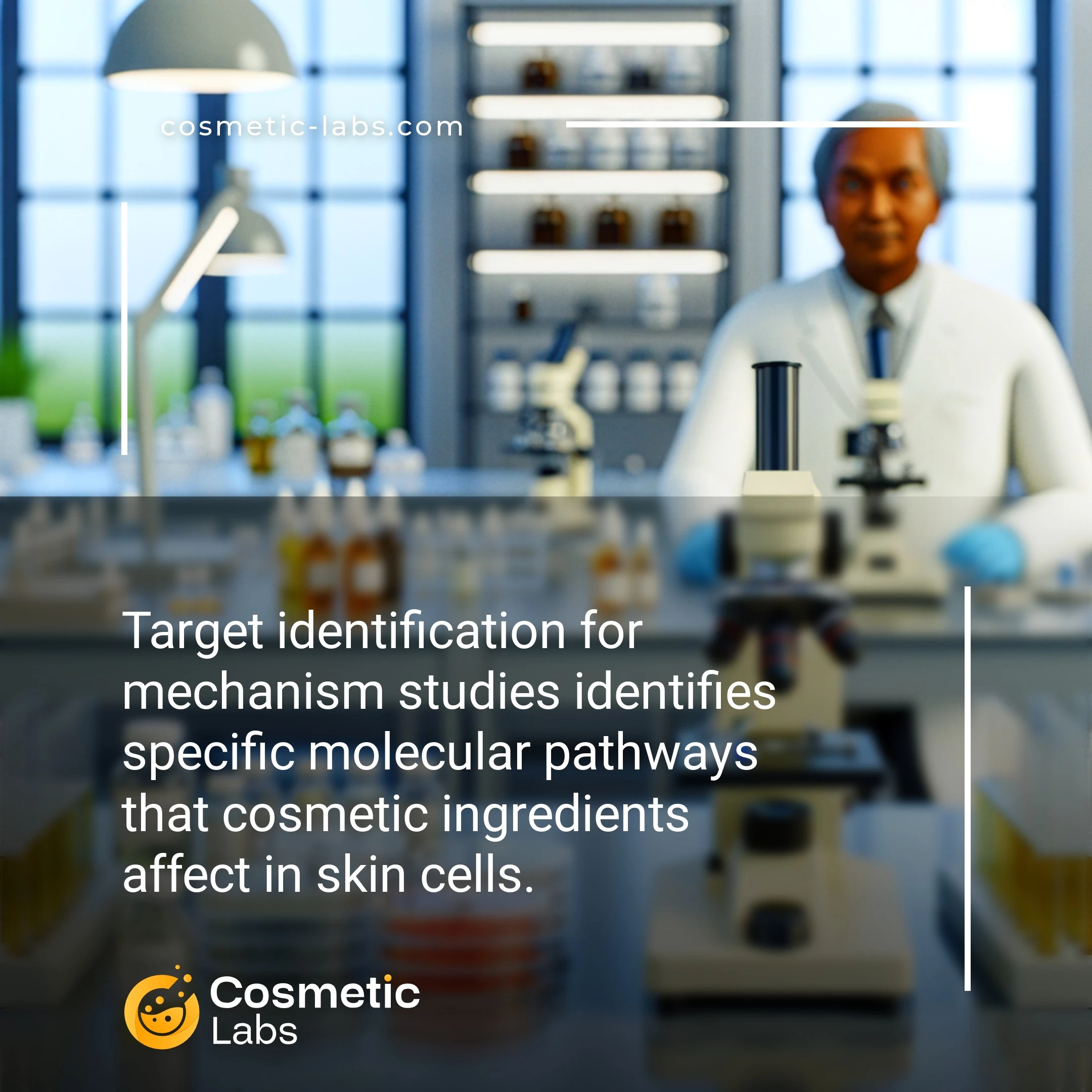 Illustration of Target identification services. Target identification for mechanism studies identifies specific molecular pathways that cosmetic ingredients affect in skin cells.
