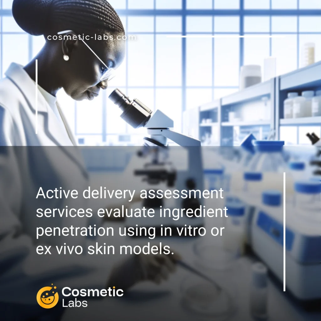 Illustration of Active delivery assessment services. Active delivery assessment services evaluate ingredient penetration using in vitro or ex vivo skin models.