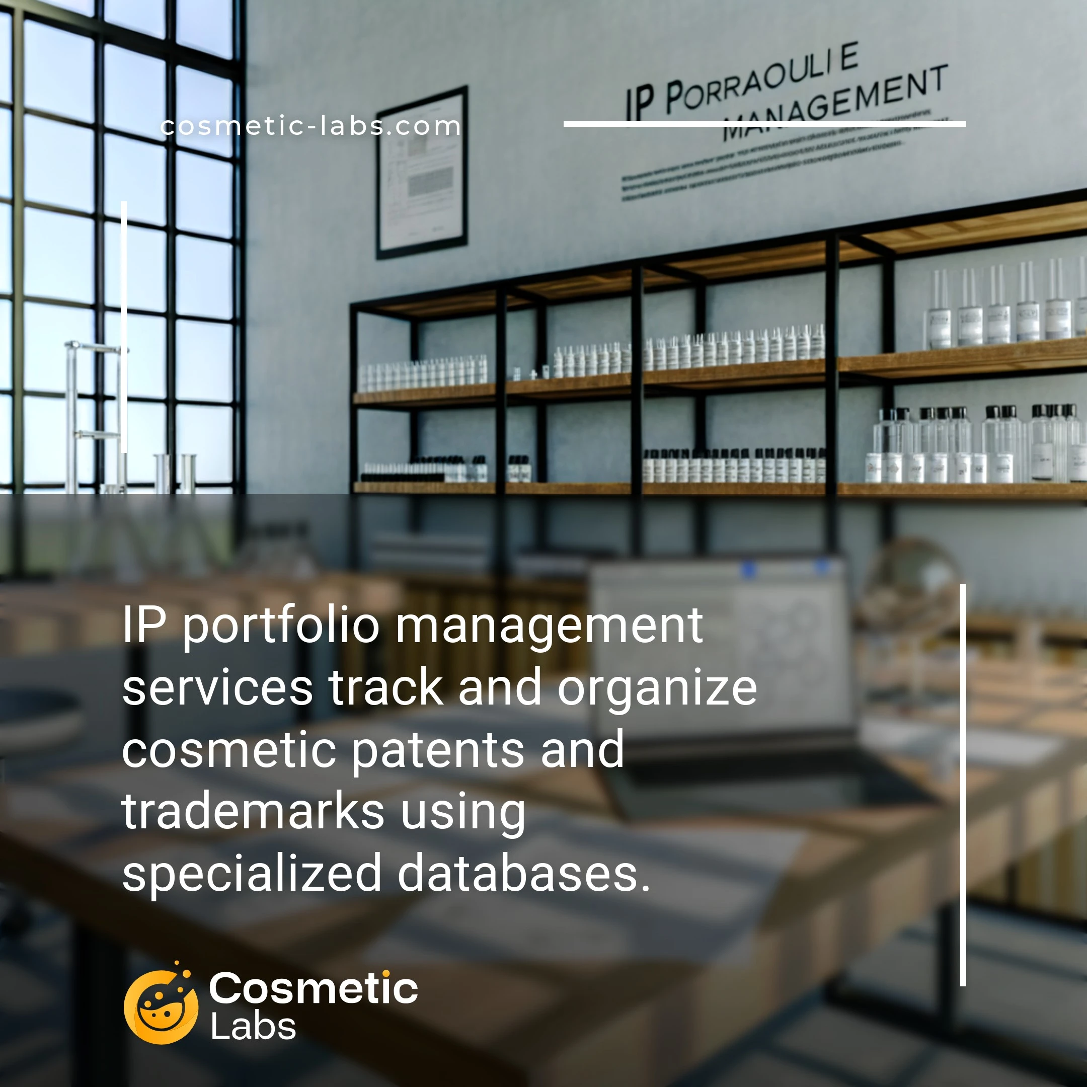 Illustration of IP portfolio management services. IP portfolio management services track and organize cosmetic patents and trademarks using specialized databases.