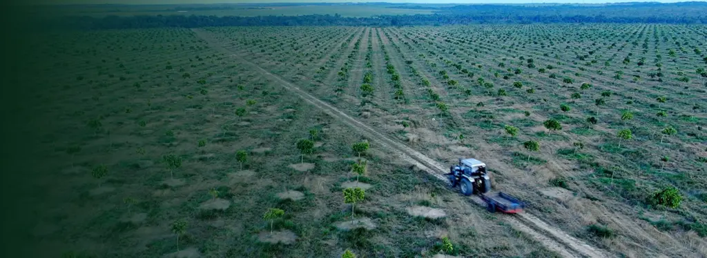 Kahai Cacay plantation and agricultural operations